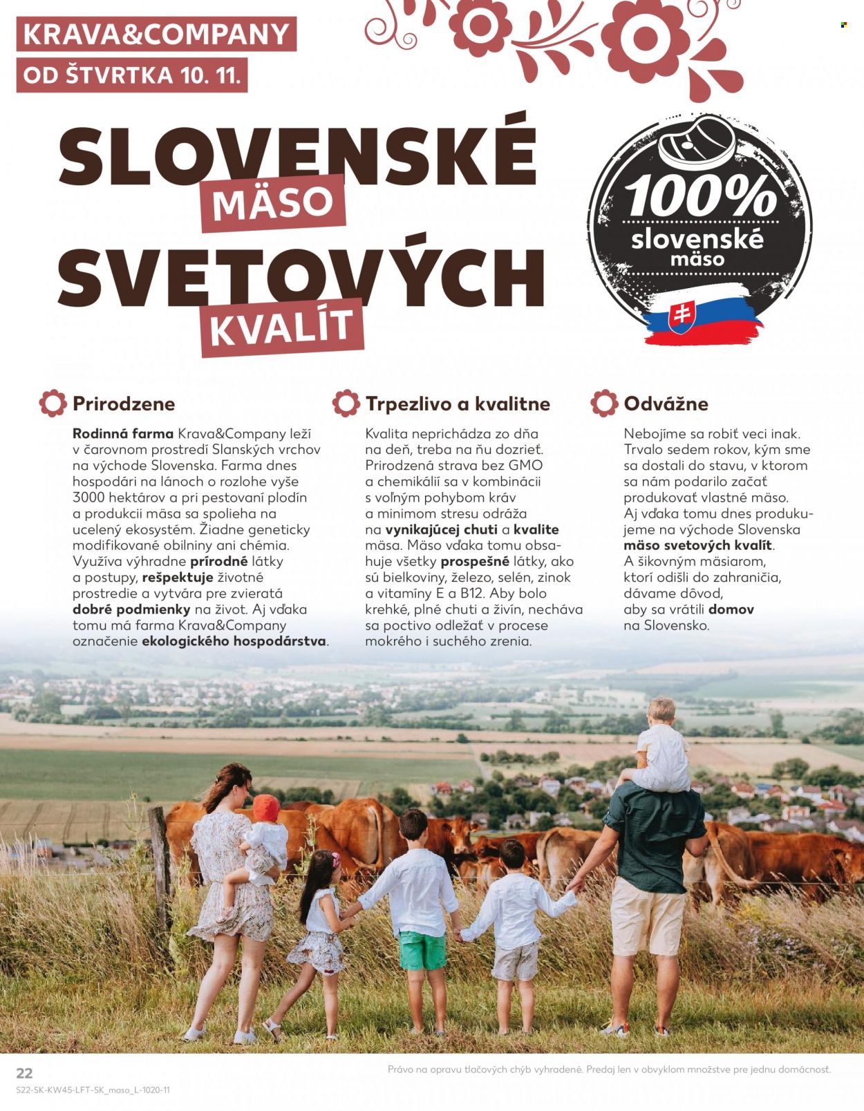 Leták Kaufland - 10.11.2022 - 16.11.2022. Strana 22