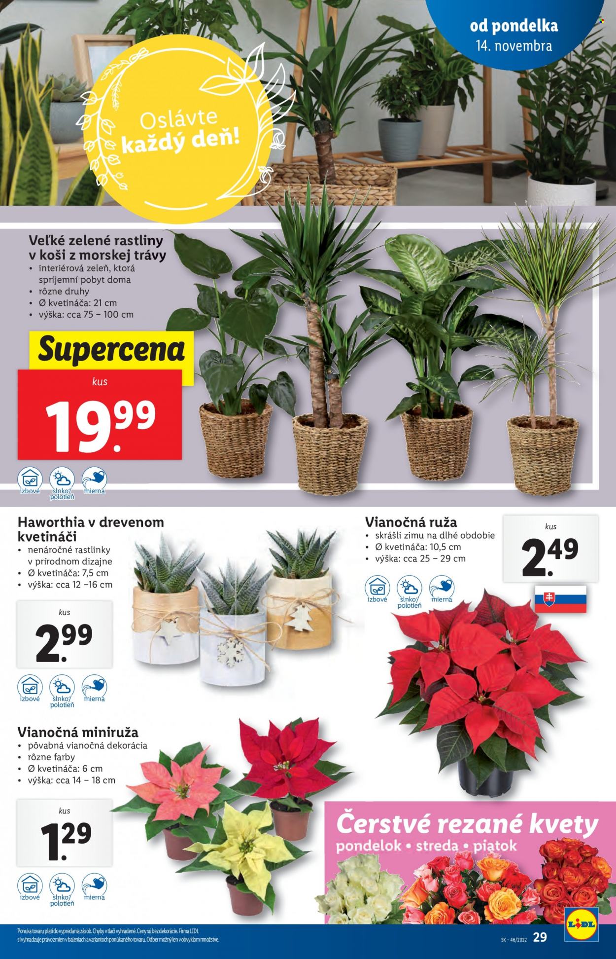 Leták Lidl - 14.11.2022 - 20.11.2022. Strana 29