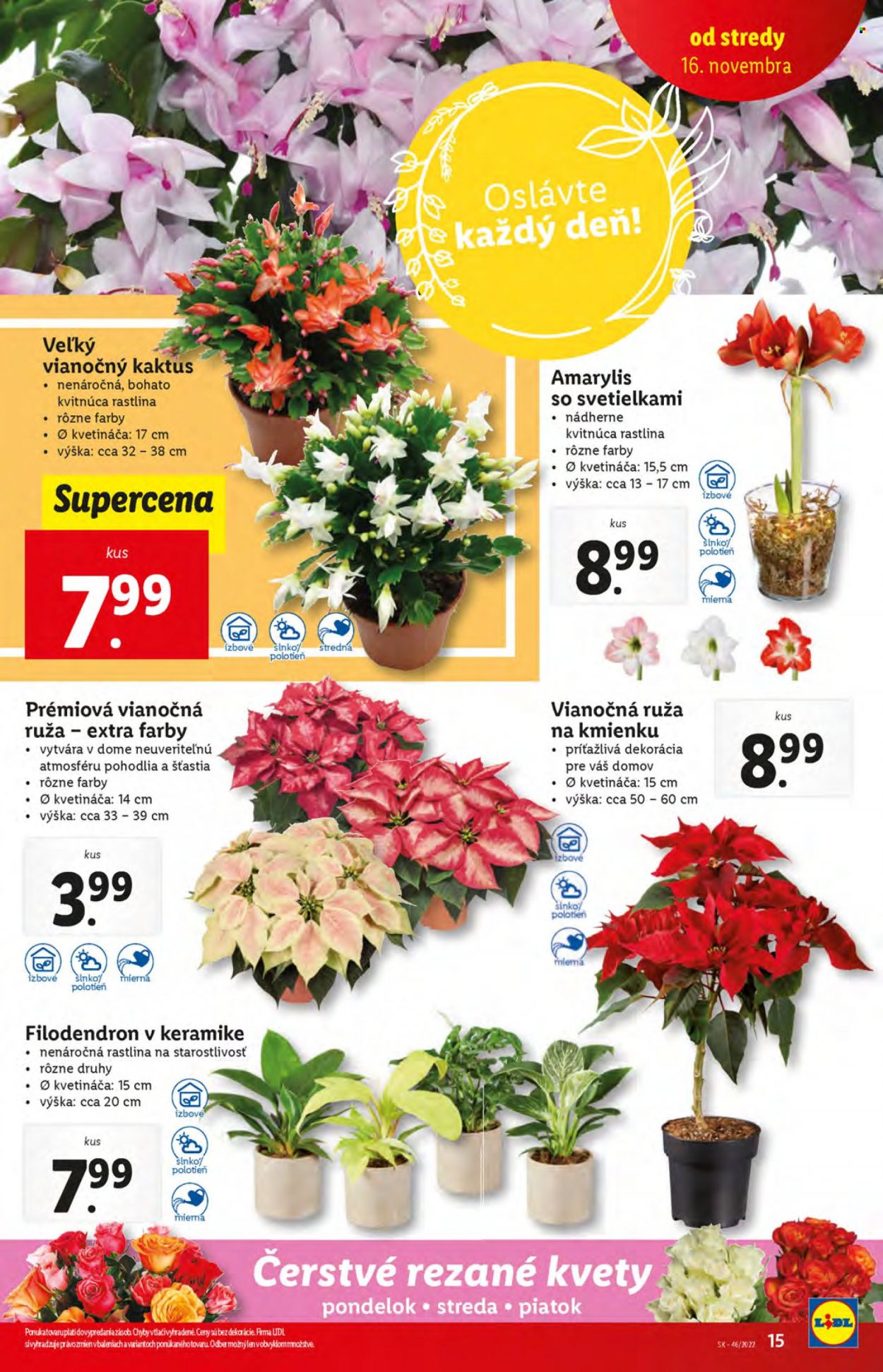 Leták Lidl - 16.11.2022 - 20.11.2022. Strana 15