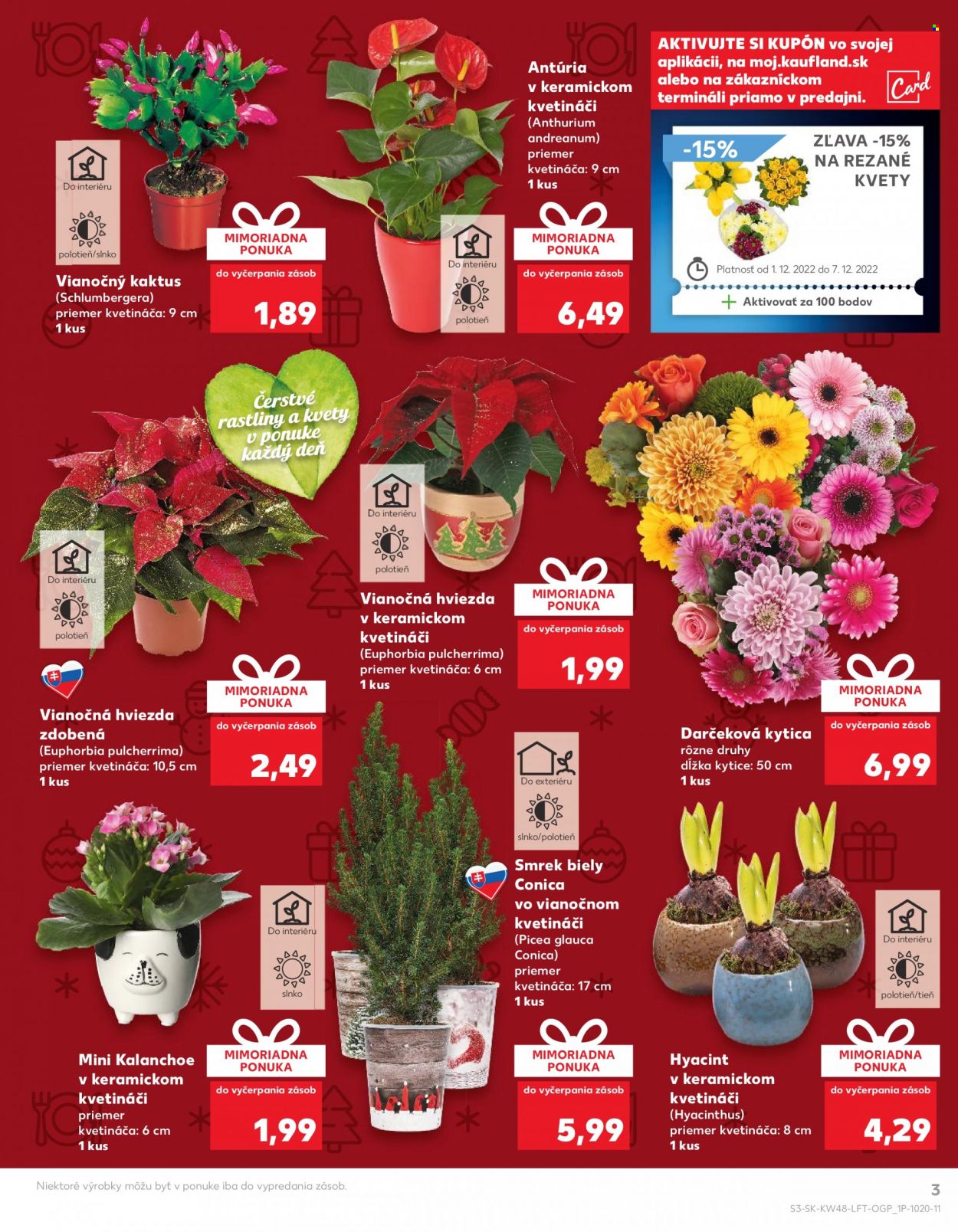 Leták Kaufland - 1.12.2022 - 7.12.2022. Strana 3