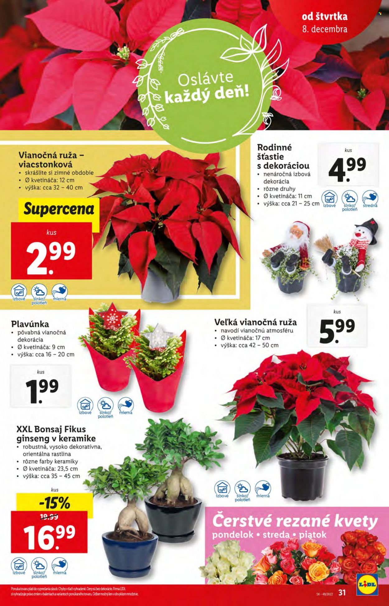 Leták Lidl - 8.12.2022 - 11.12.2022. Strana 31