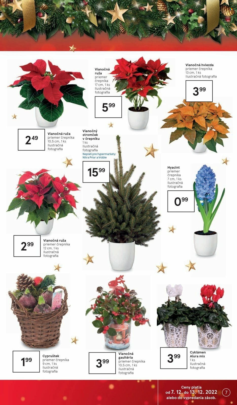 Leták TESCO - 7.12.2022 - 13.12.2022. Strana 7