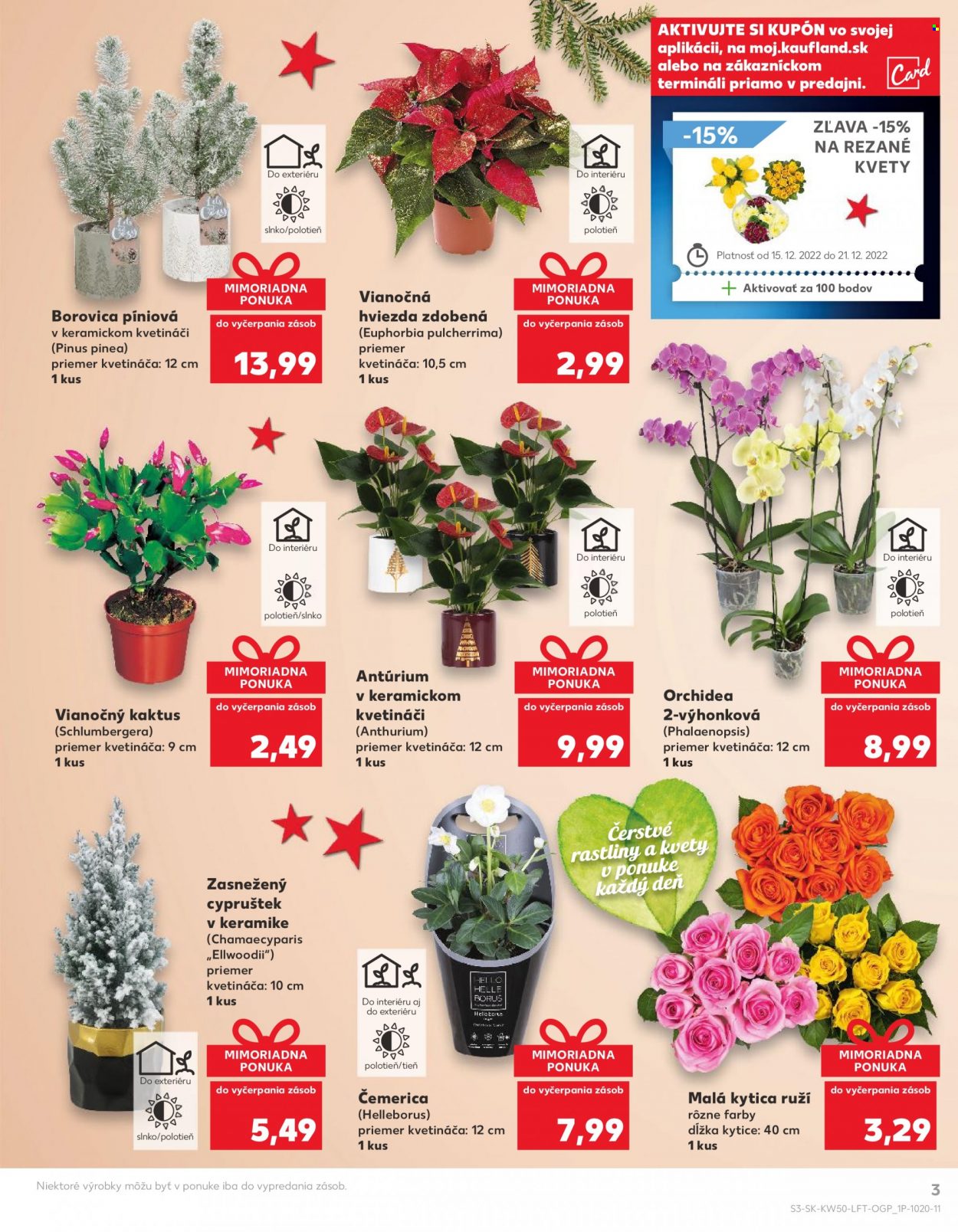 Leták Kaufland - 15.12.2022 - 21.12.2022. Strana 3