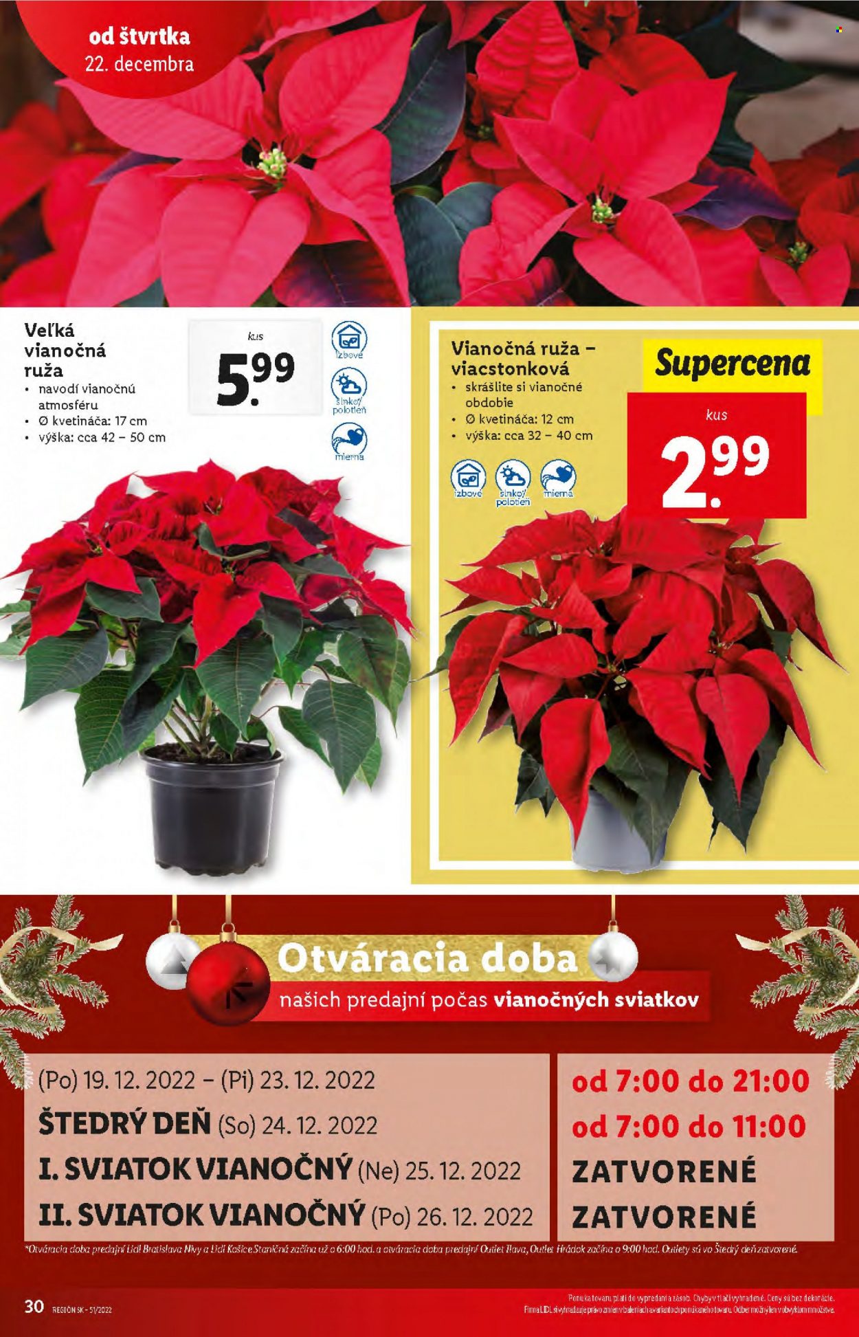 Leták Lidl - 22.12.2022 - 24.12.2022. Strana 30