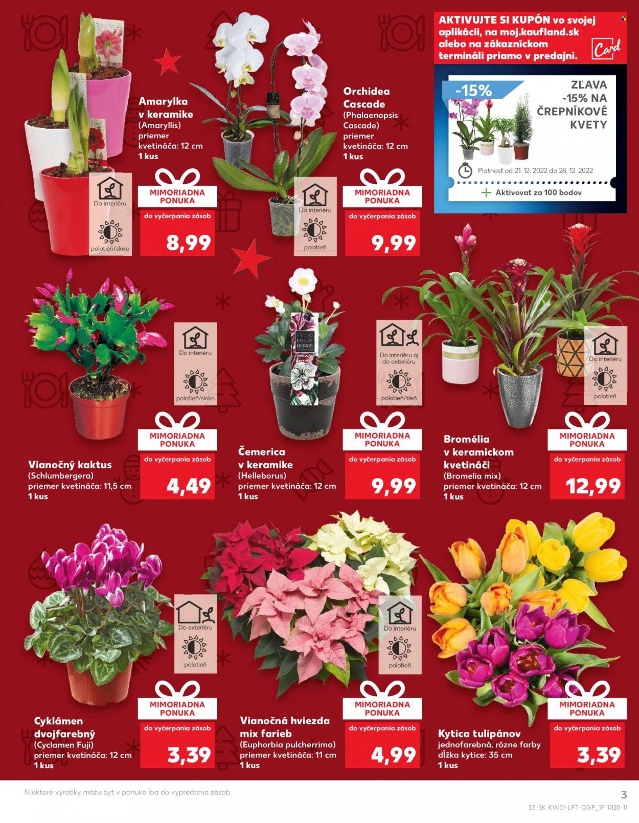 Leták Kaufland - 21.12.2022 - 28.12.2022. Strana 3