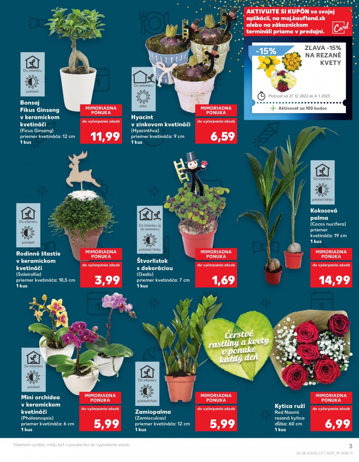 Leták Kaufland - 27.12.2022 - 4.1.2023. Strana 3