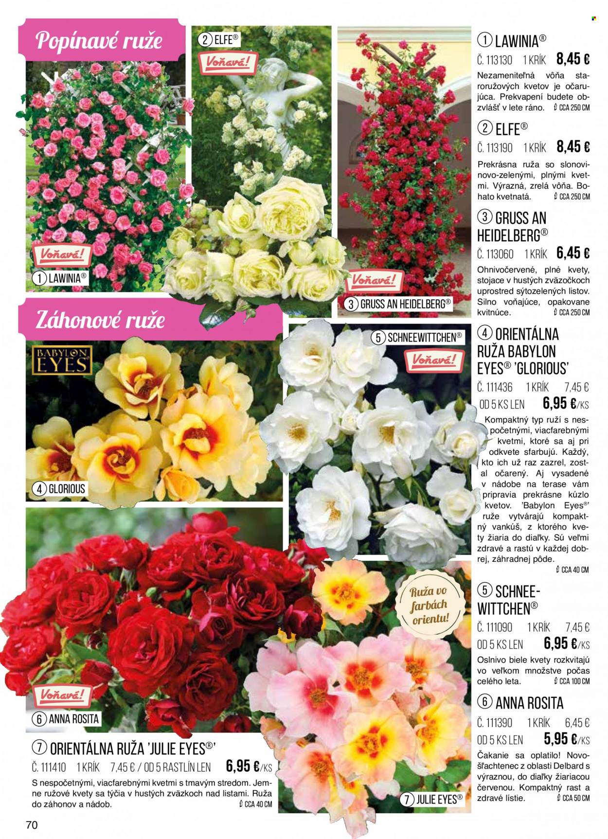 thumbnail - Leták Starkl - Produkty v akcii - ruža, kvetinová dekorácia. Strana 70.