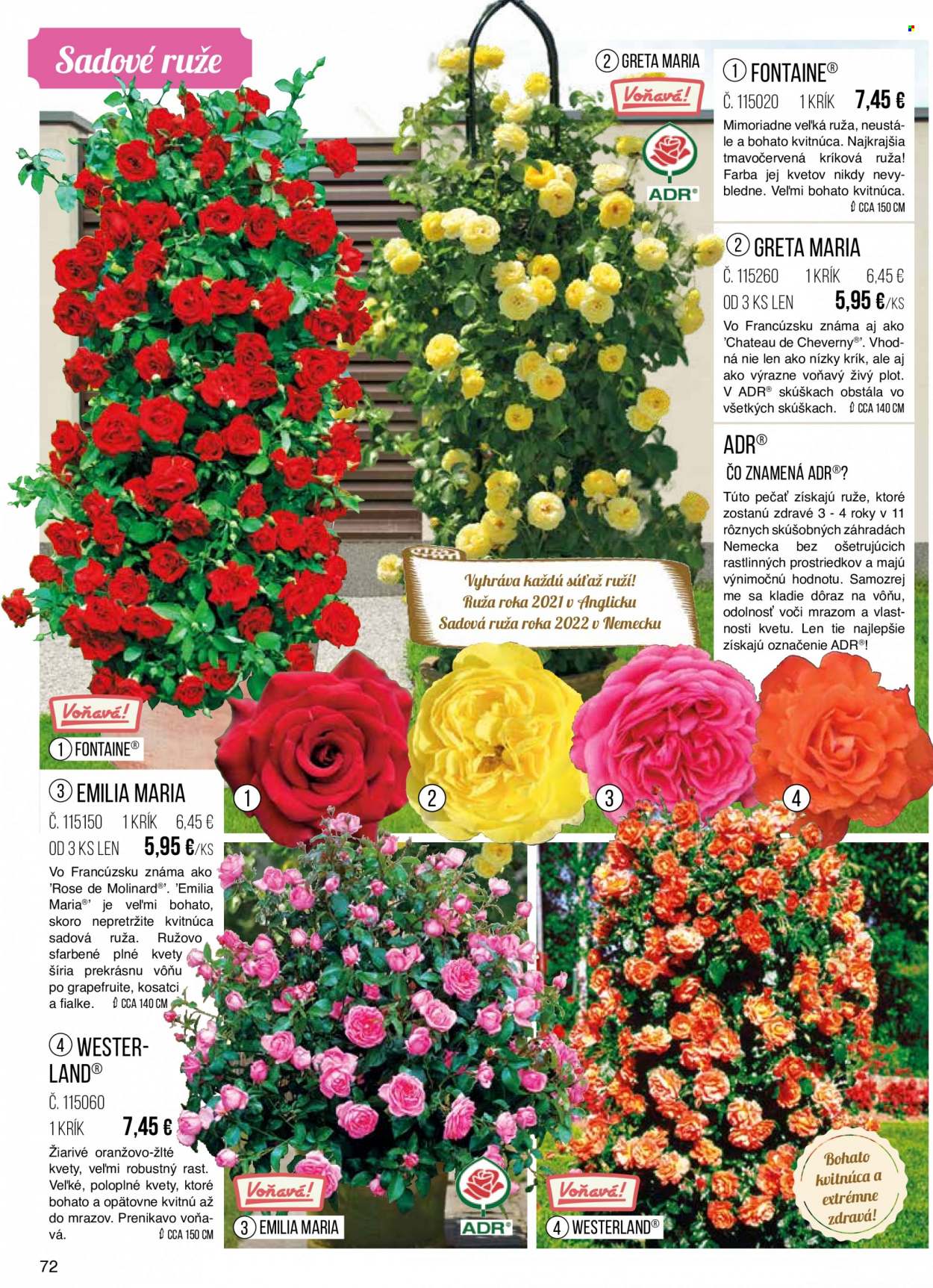 thumbnail - Leták Starkl - Produkty v akcii - ruža, kvetinová dekorácia. Strana 72.
