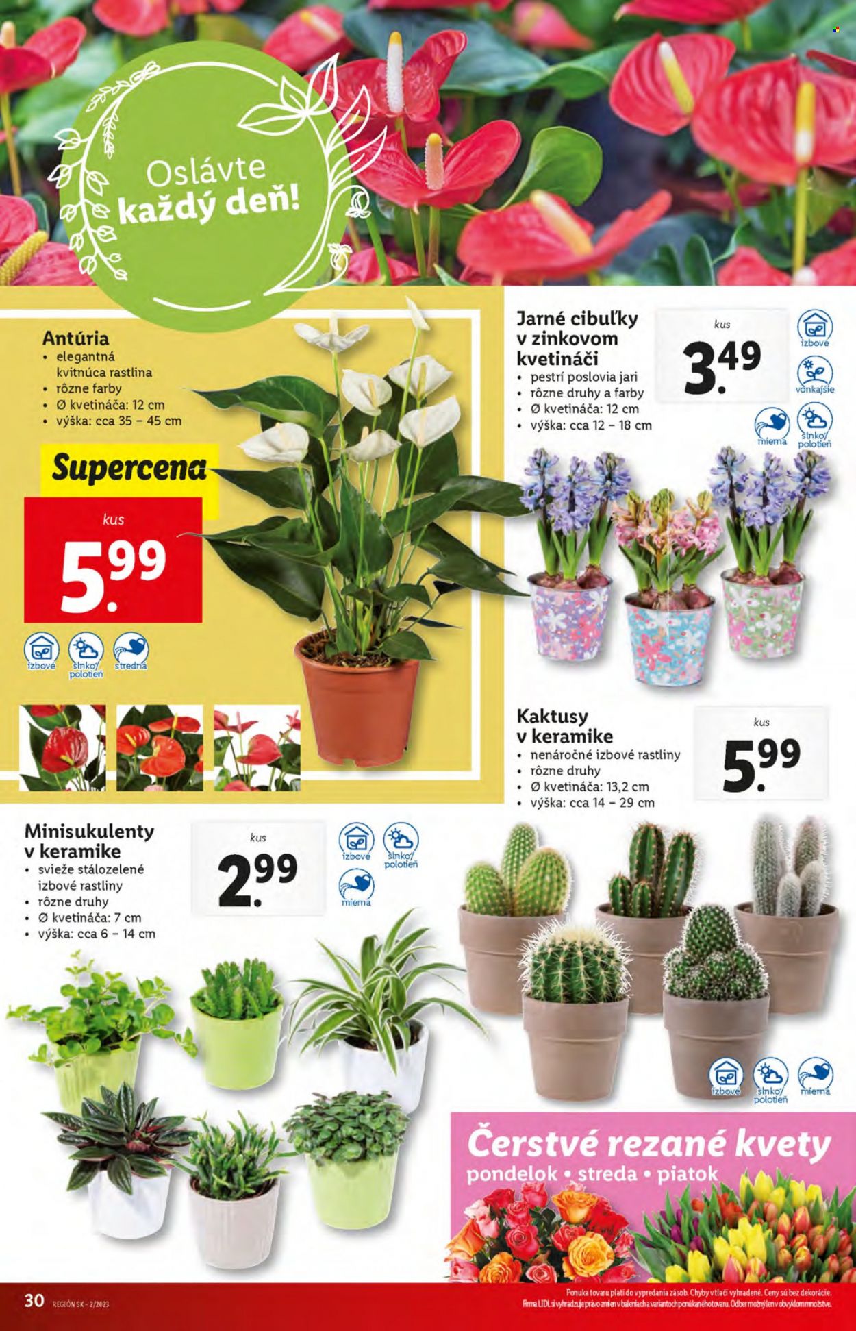Leták Lidl - 12.1.2023 - 15.1.2023. Strana 30