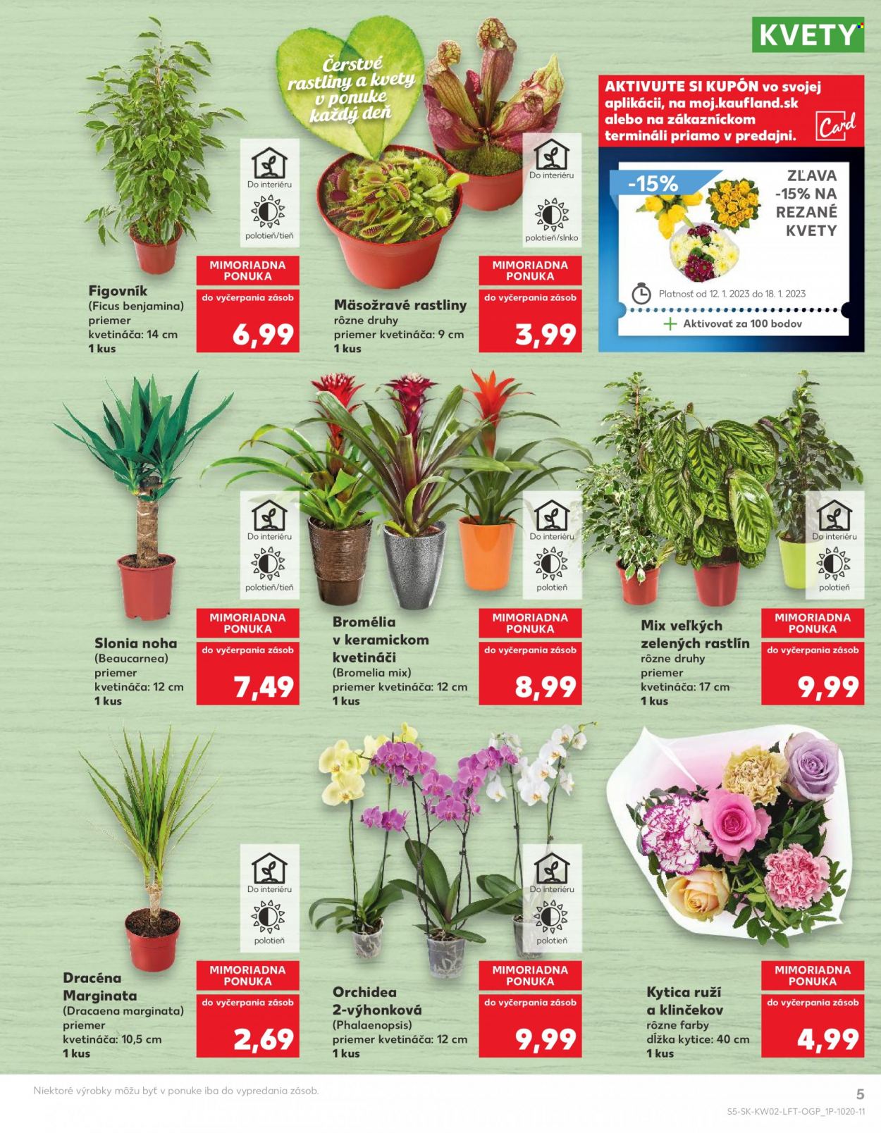 Leták Kaufland - 12.1.2023 - 18.1.2023. Strana 5