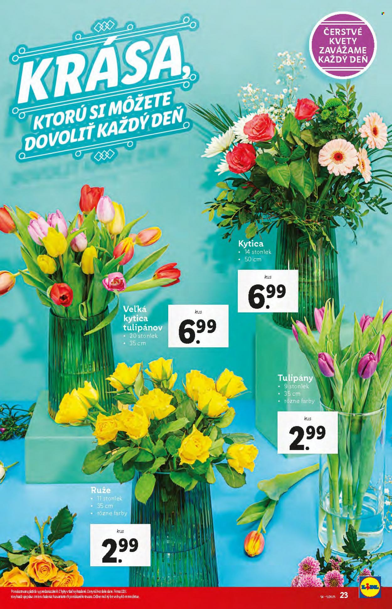 thumbnail - Leták Lidl - 2.2.2023 - 5.2.2023 - Produkty v akcii - kytica, tulipány, ruža. Strana 23.