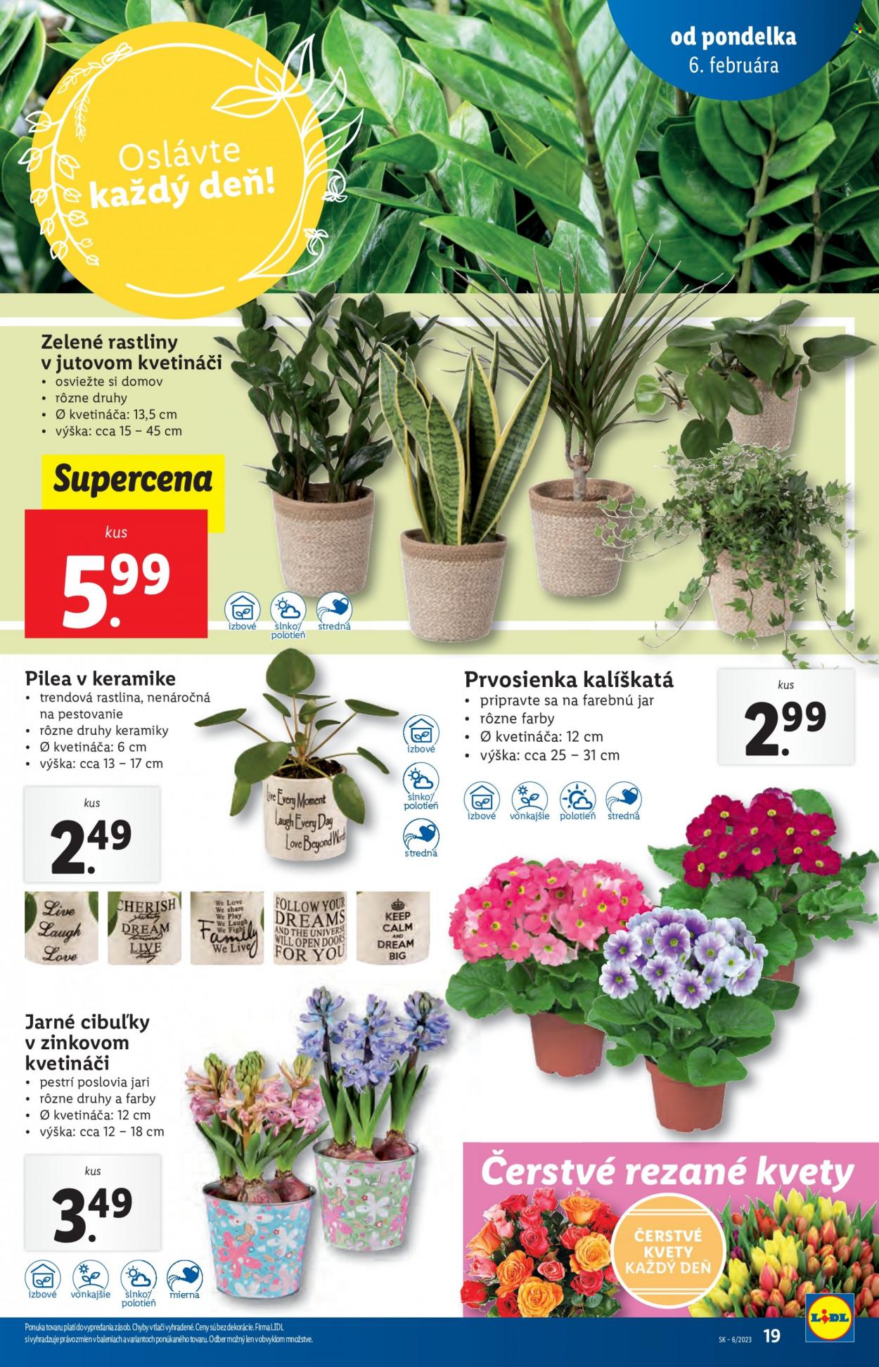 Leták Lidl - 6.2.2023 - 12.2.2023. Strana 19