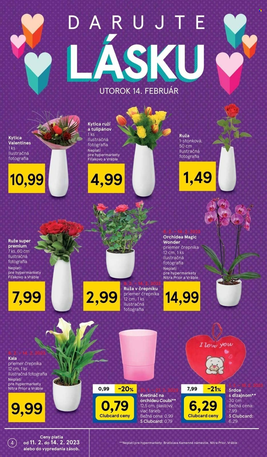 thumbnail - Leták TESCO - 8.2.2023 - 14.2.2023 - Produkty v akcii - kvetináč, orchidea, kytica, izbové rastliny, ruža, kvetinová dekorácia, rastlina v kvetináči, kala. Strana 4.