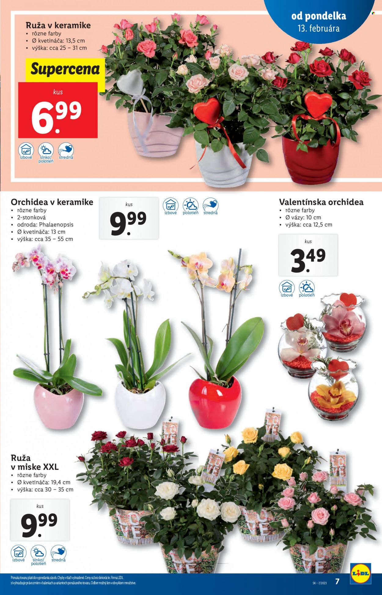 Leták Lidl - 13.2.2023 - 19.2.2023. Strana 7
