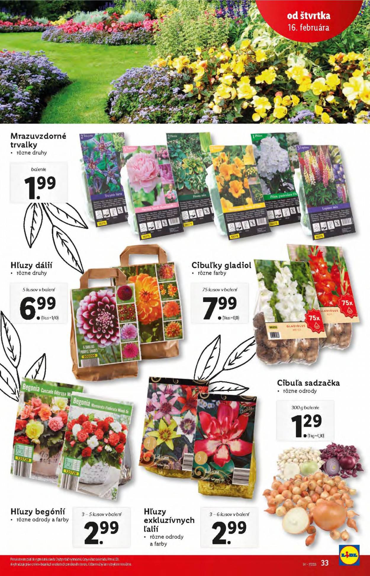 Leták Lidl - 16.2.2023 - 19.2.2023. Strana 33