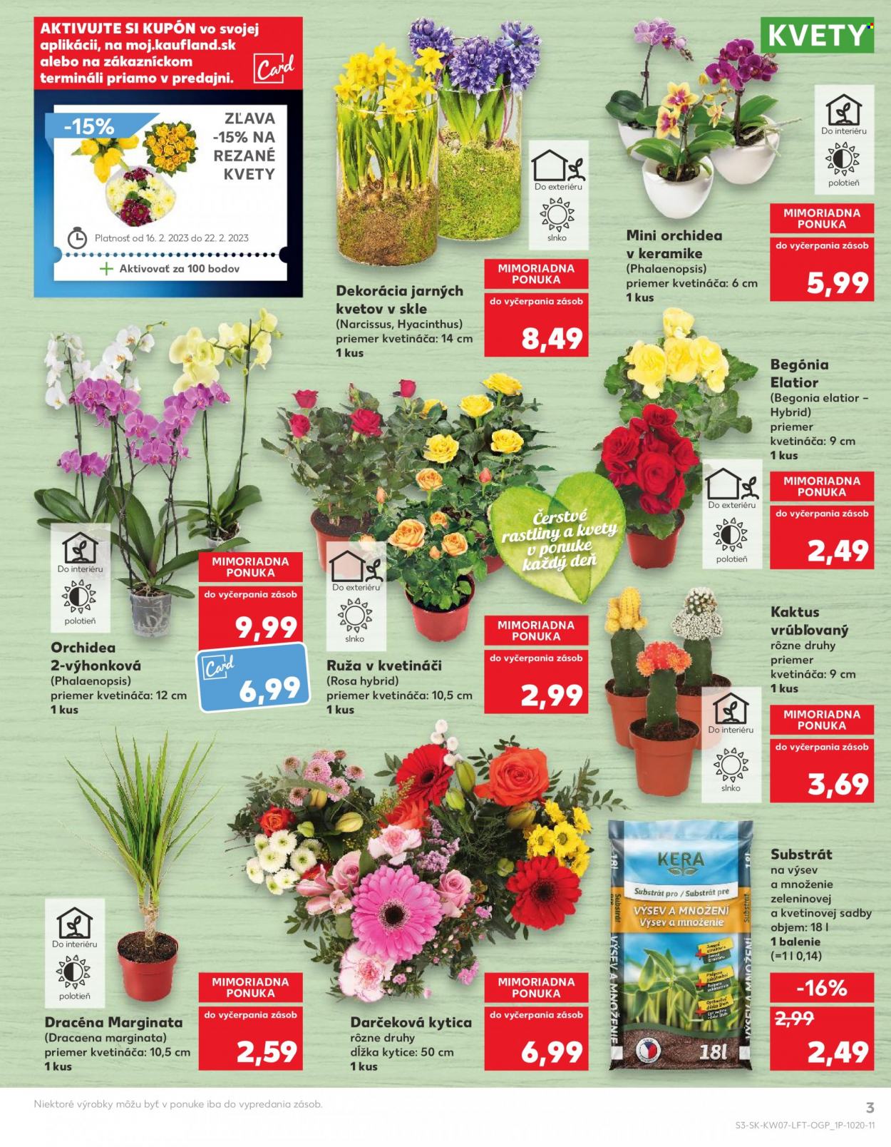 Leták Kaufland - 16.2.2023 - 22.2.2023. Strana 3