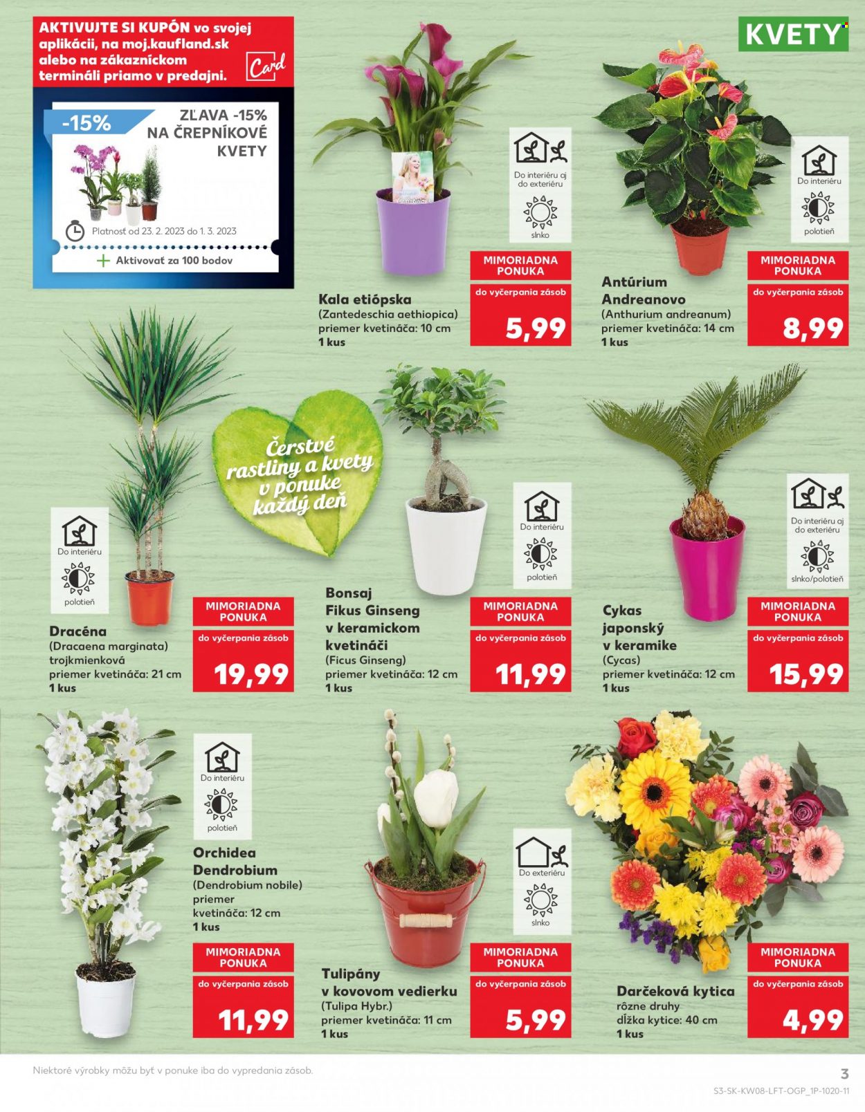 Leták Kaufland - 23.2.2023 - 1.3.2023. Strana 3