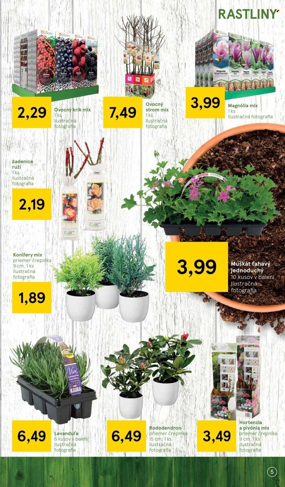 Leták TESCO - 1.3.2023 - 22.3.2023. Strana 5