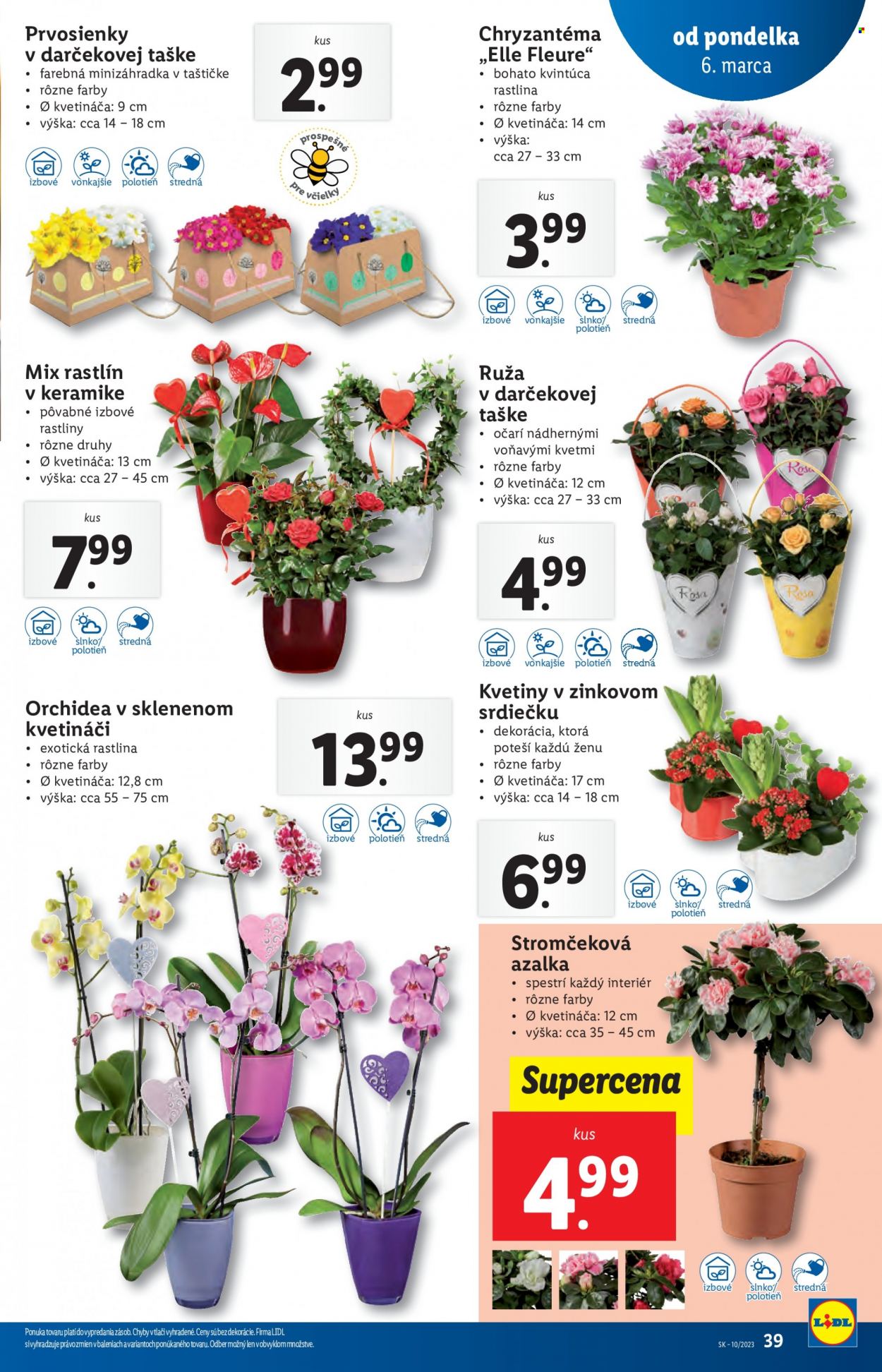 Leták Lidl - 6.3.2023 - 12.3.2023. Strana 39