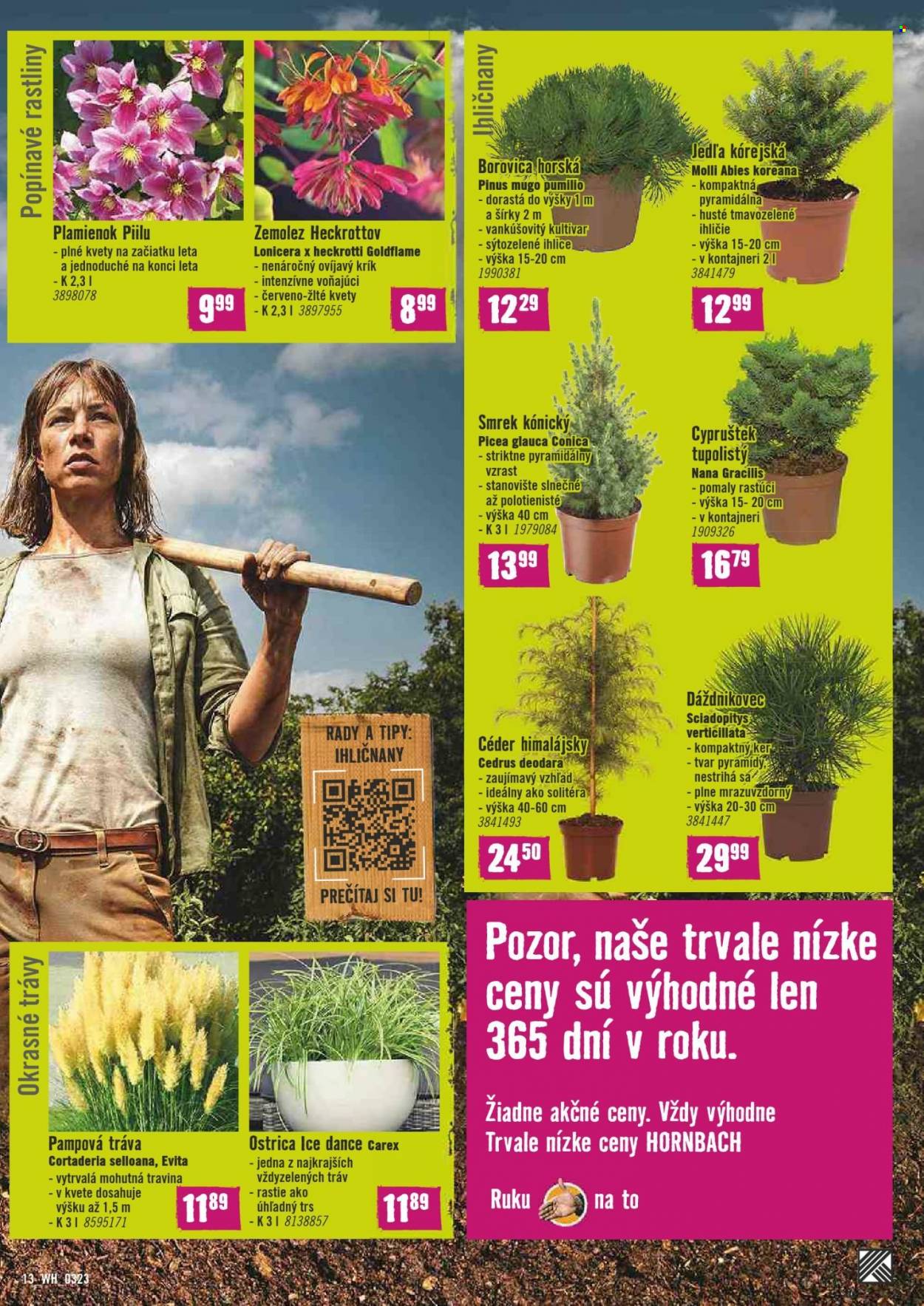 Leták Hornbach - 8.3.2023 - 24.3.2023. Strana 13
