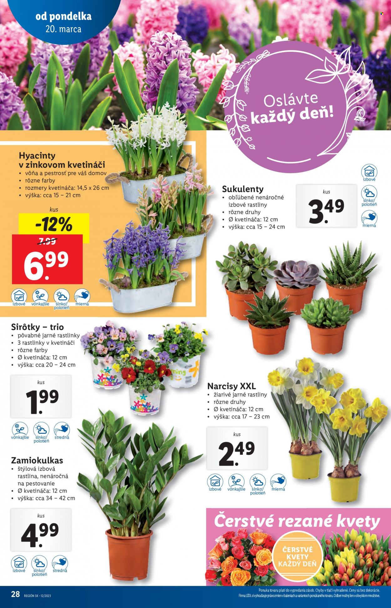 Leták Lidl - 20.3.2023 - 26.3.2023. Strana 28