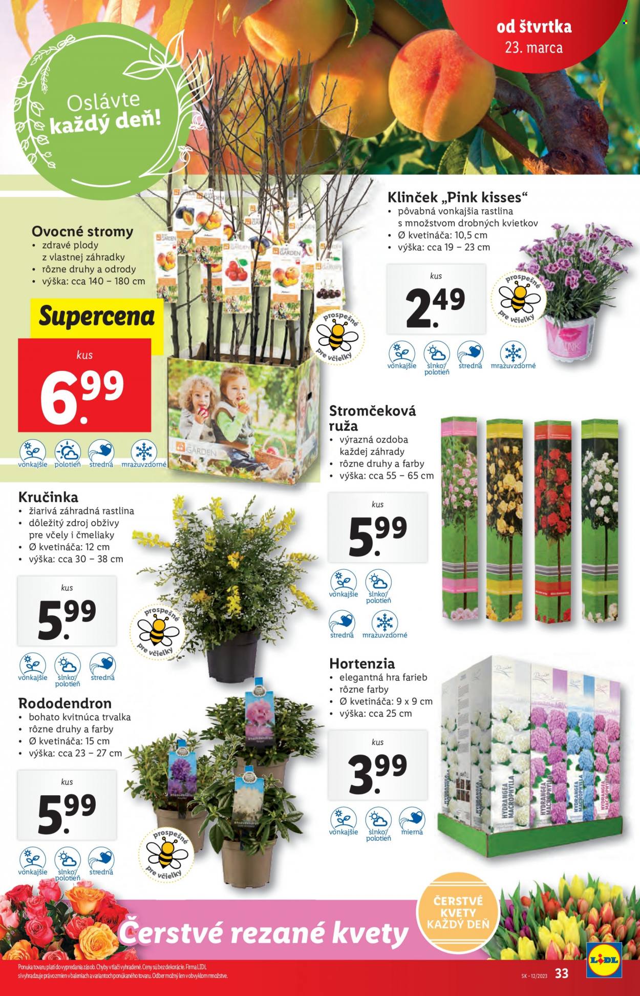 Leták Lidl - 23.3.2023 - 26.3.2023. Strana 33