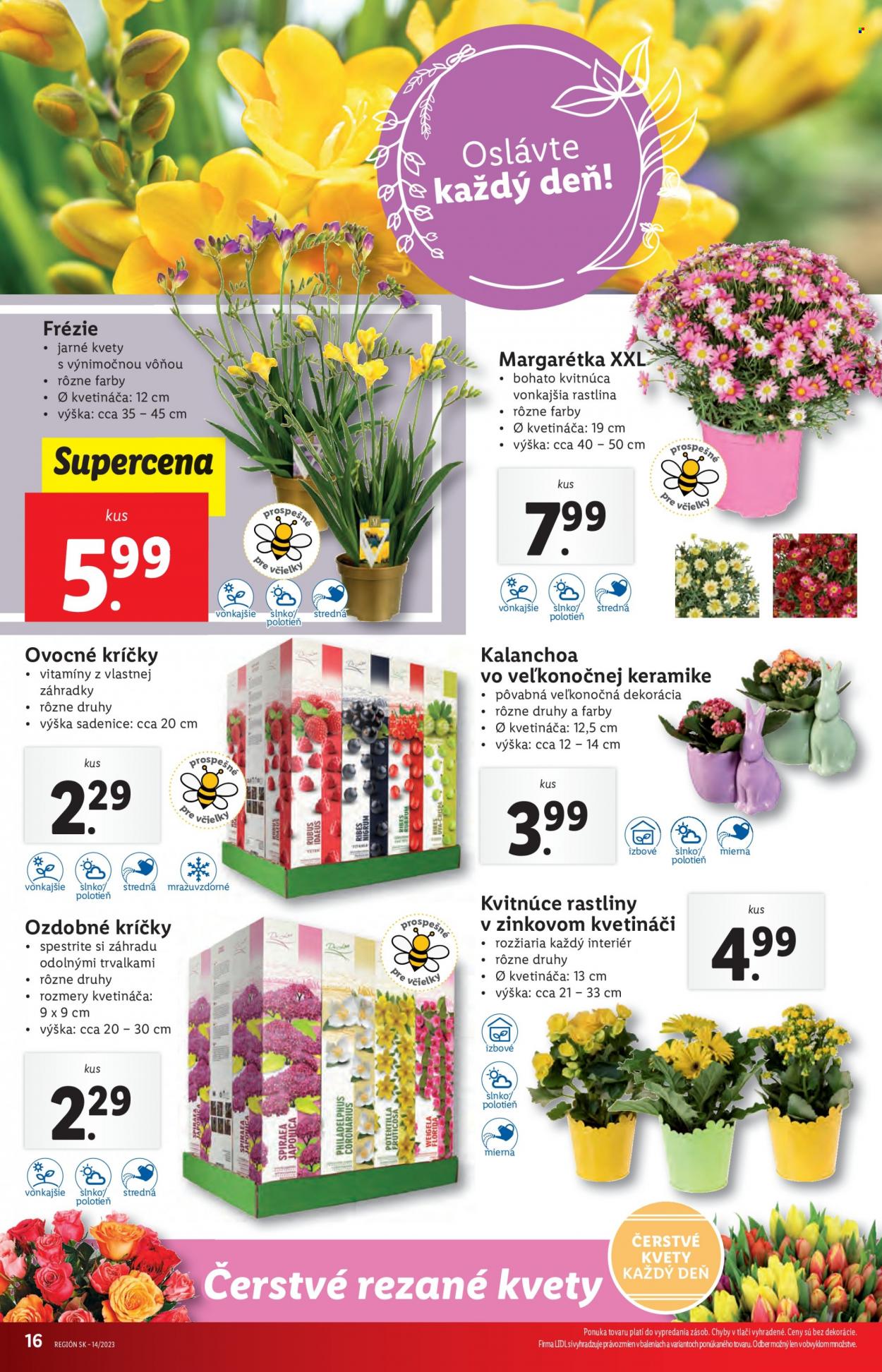 Leták Lidl - 5.4.2023 - 8.4.2023. Strana 16