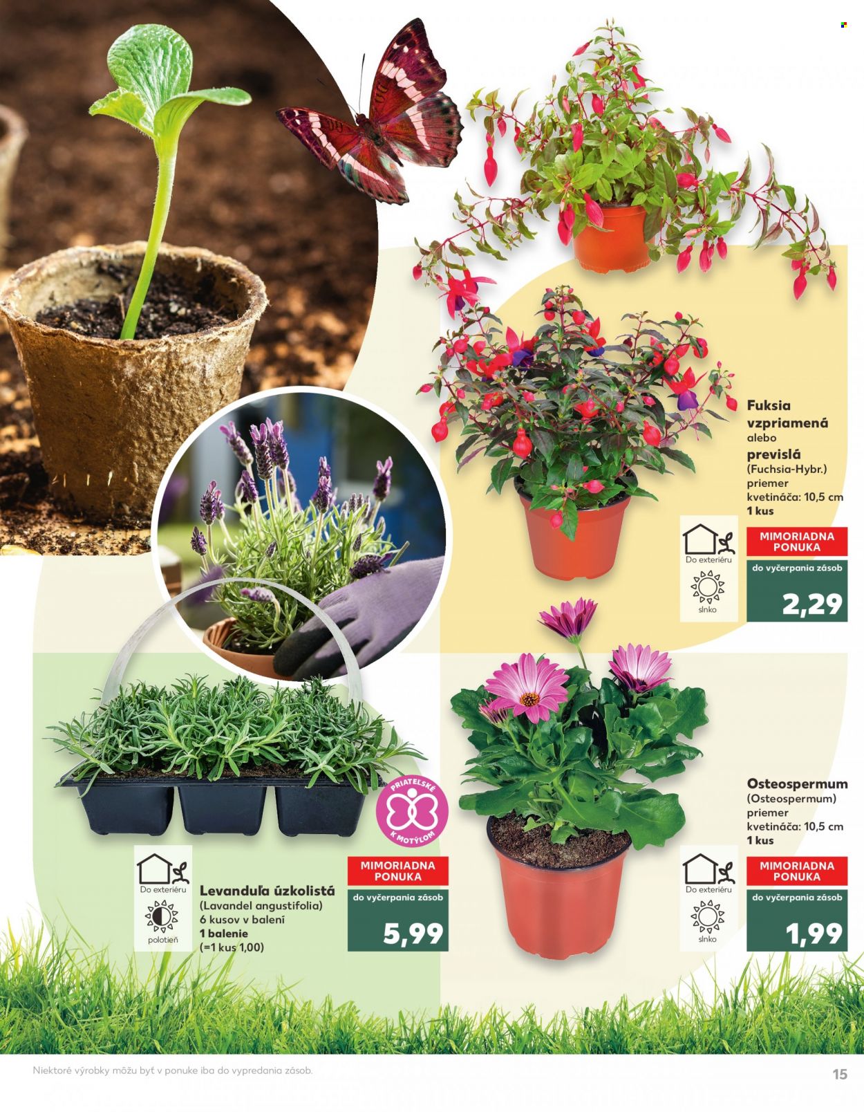 Leták Kaufland - 13.4.2023 - 10.5.2023. Strana 15