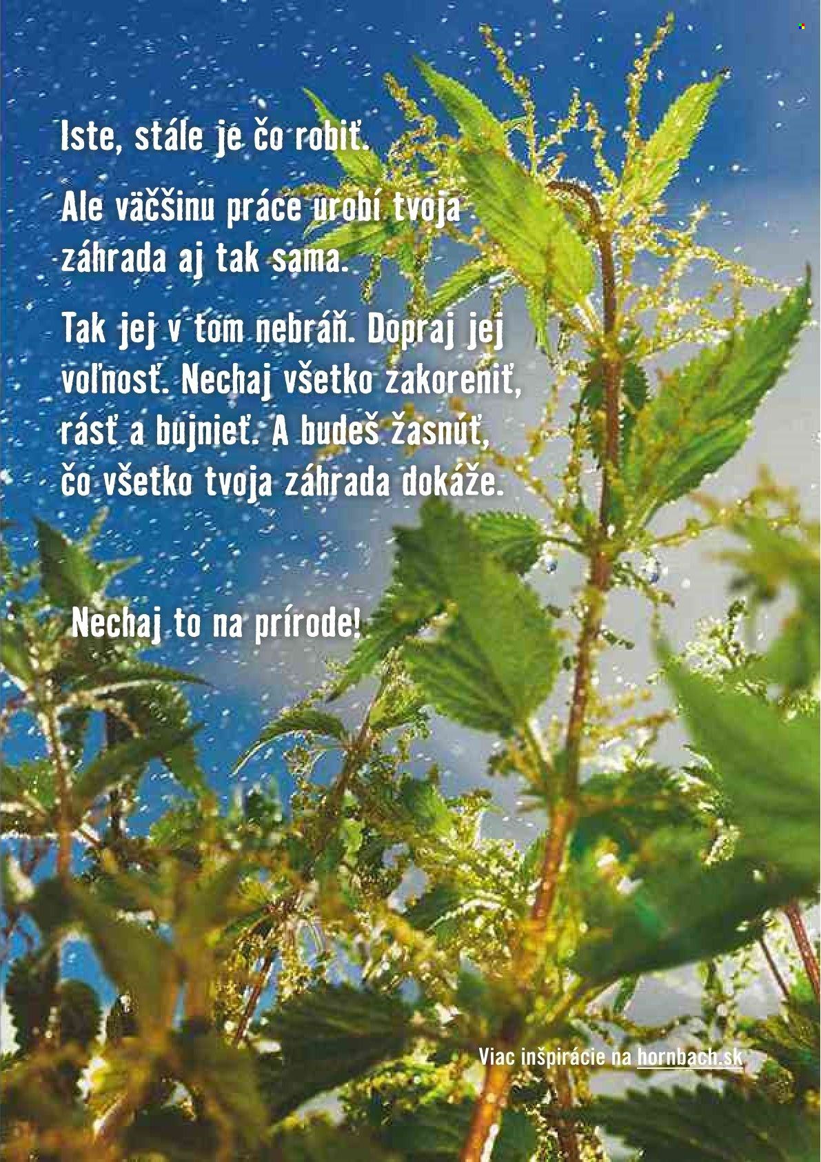 Leták Hornbach - 1.4.2023 - 30.4.2023. Strana 3