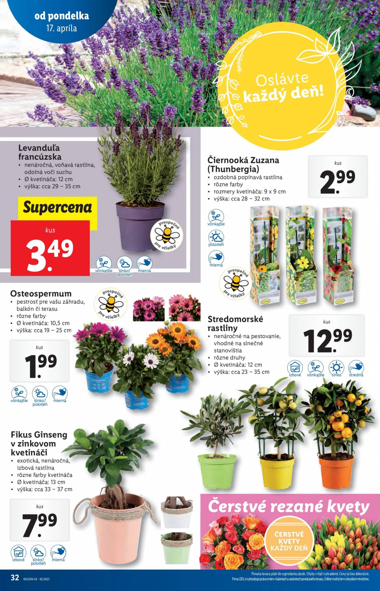 Leták Lidl - 17.4.2023 - 23.4.2023. Strana 32