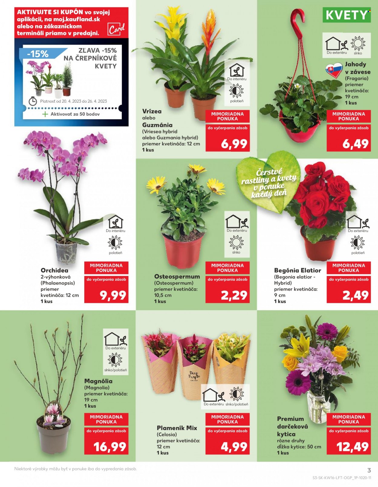 Leták Kaufland - 20.4.2023 - 26.4.2023. Strana 3