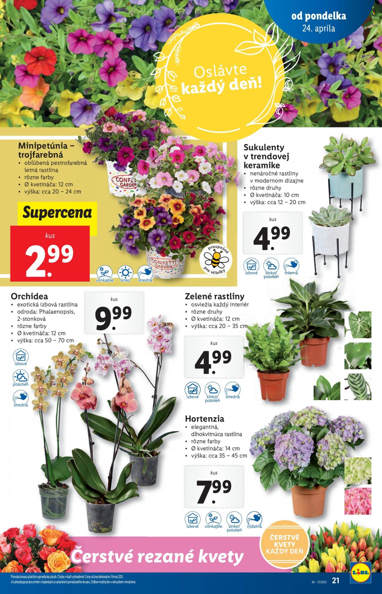 Leták Lidl - 24.4.2023 - 30.4.2023. Strana 21