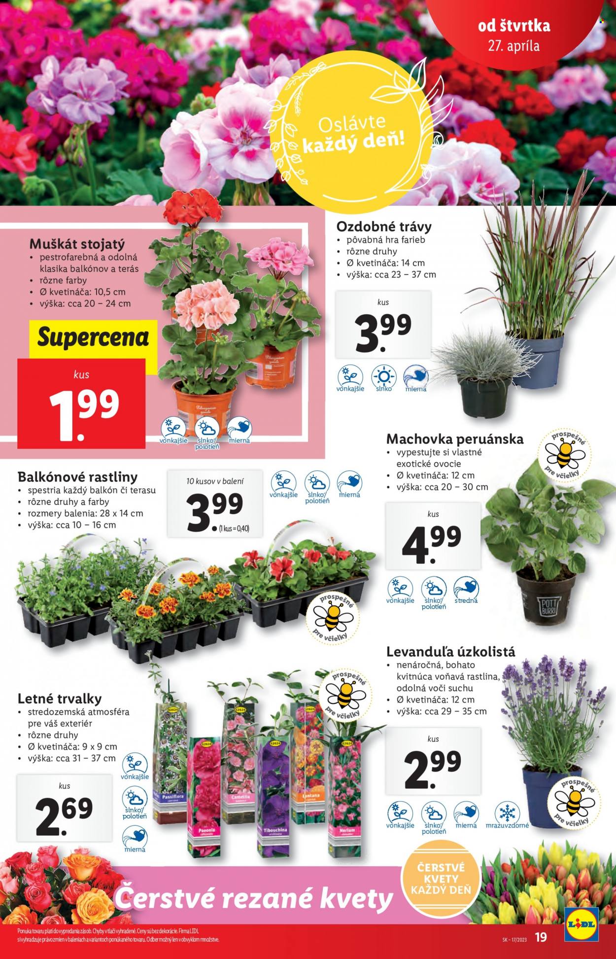 Leták Lidl - 27.4.2023 - 30.4.2023. Strana 19