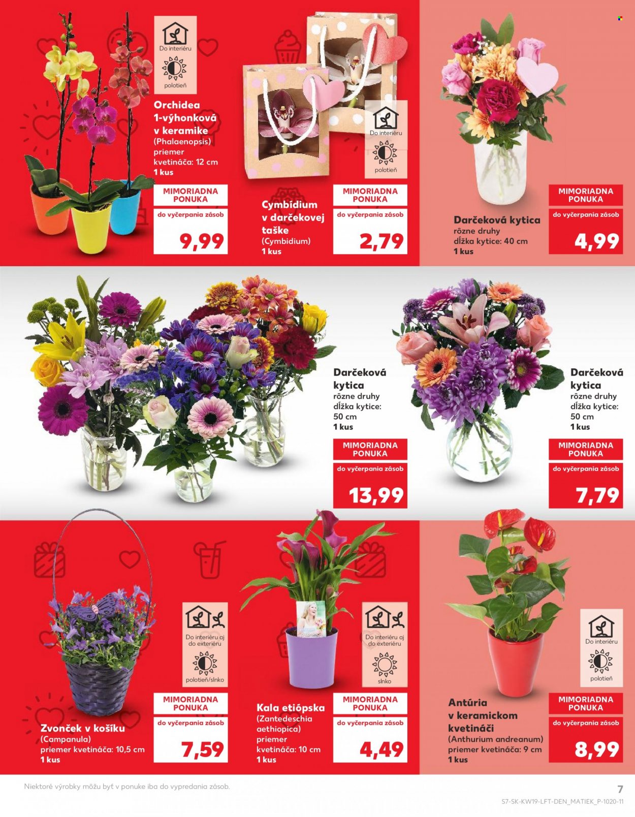 Leták Kaufland - 11.5.2023 - 17.5.2023. Strana 7