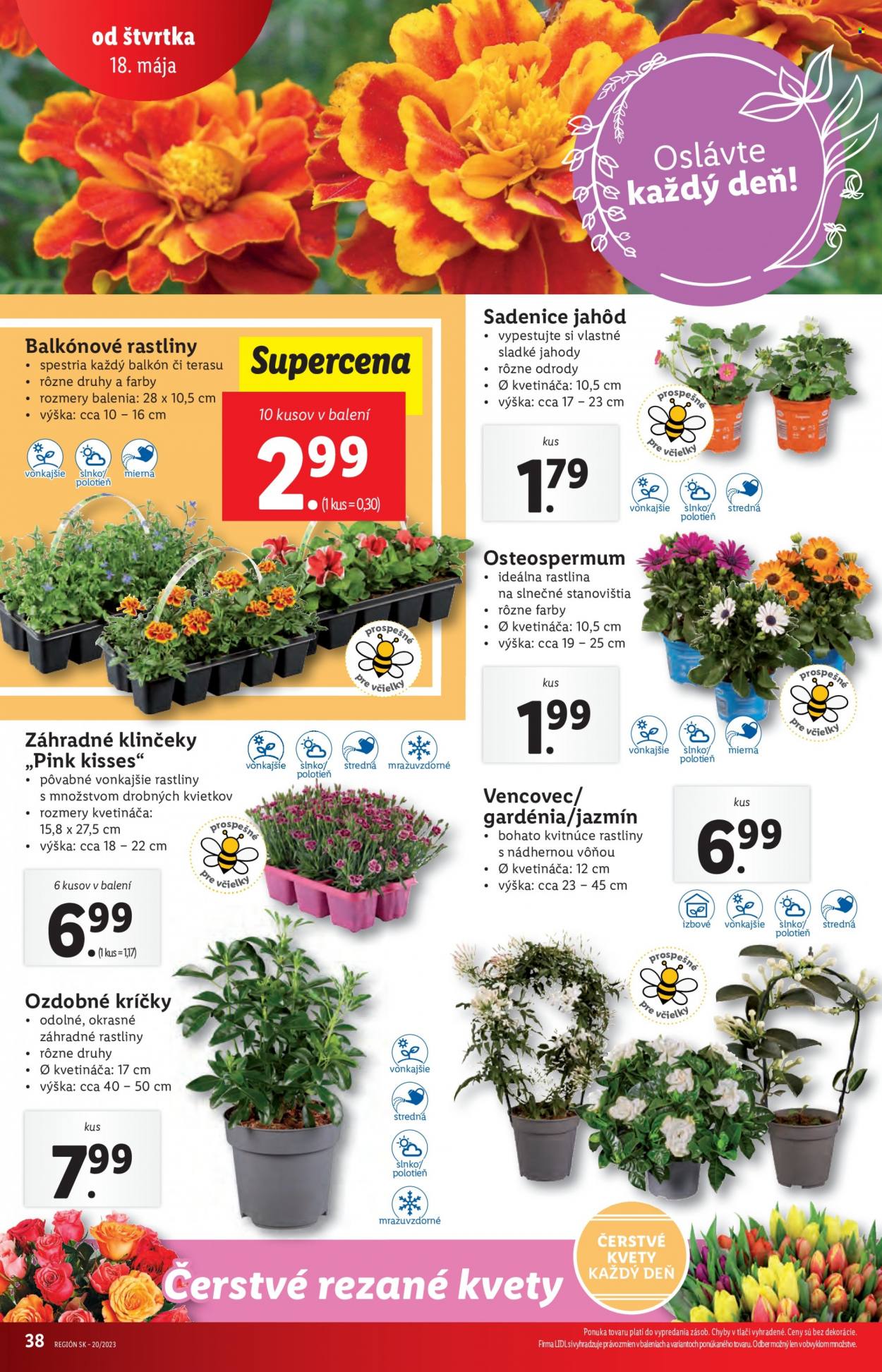 Leták Lidl - 18.5.2023 - 21.5.2023. Strana 38