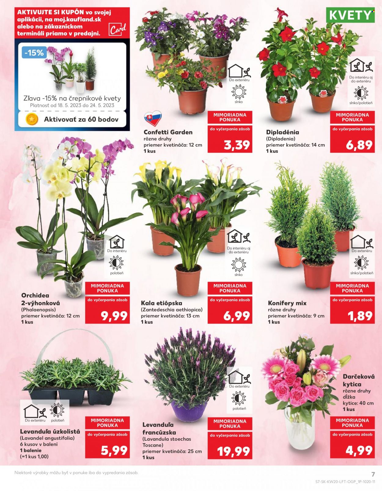 Leták Kaufland - 18.5.2023 - 24.5.2023. Strana 7