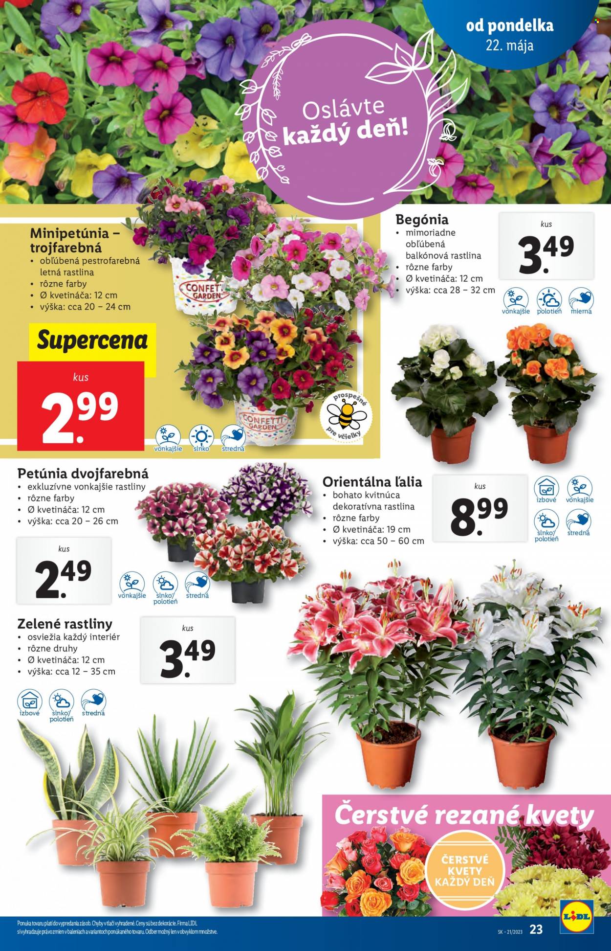 Leták Lidl - 22.5.2023 - 28.5.2023. Strana 23