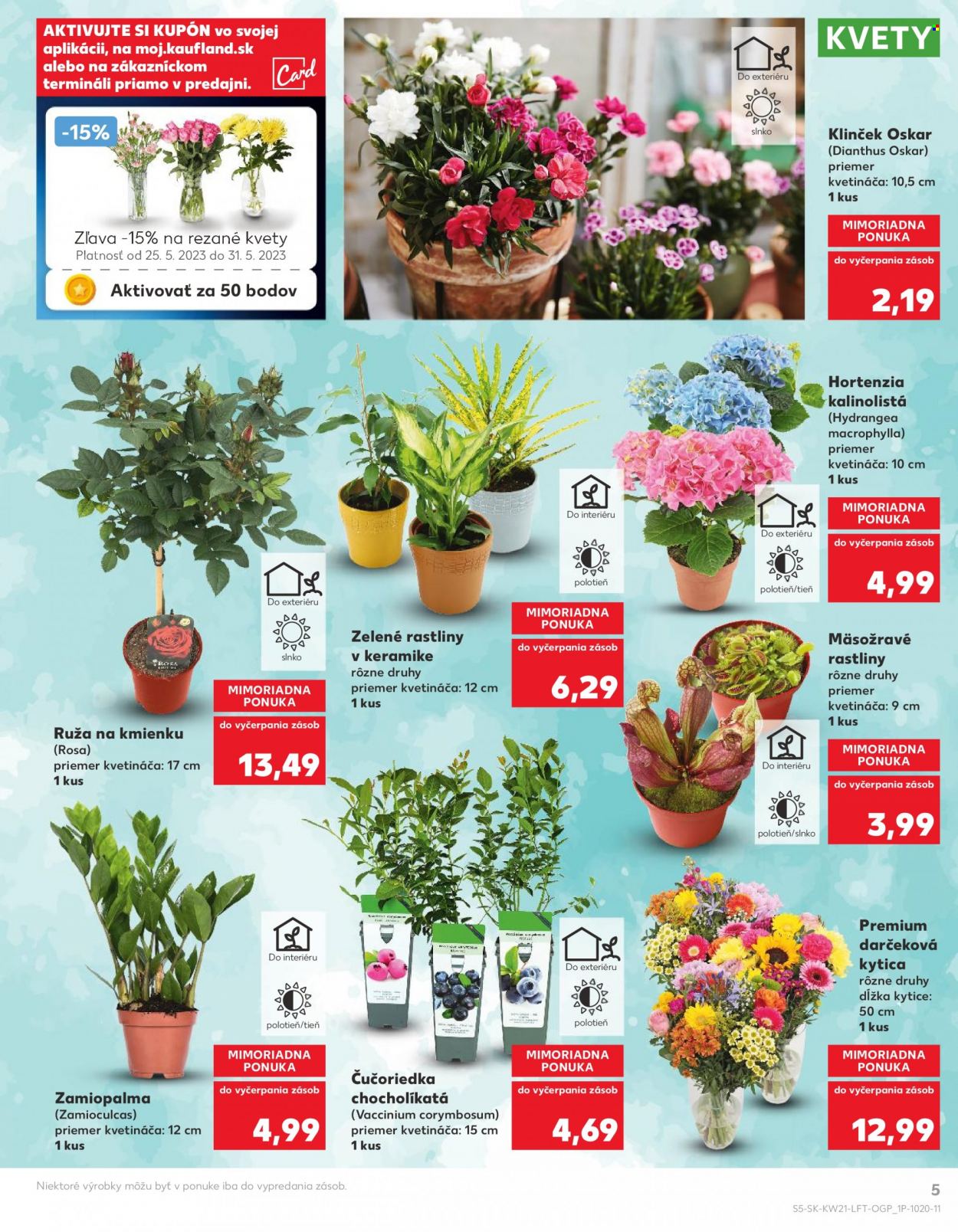 Leták Kaufland - 25.5.2023 - 31.5.2023. Strana 5
