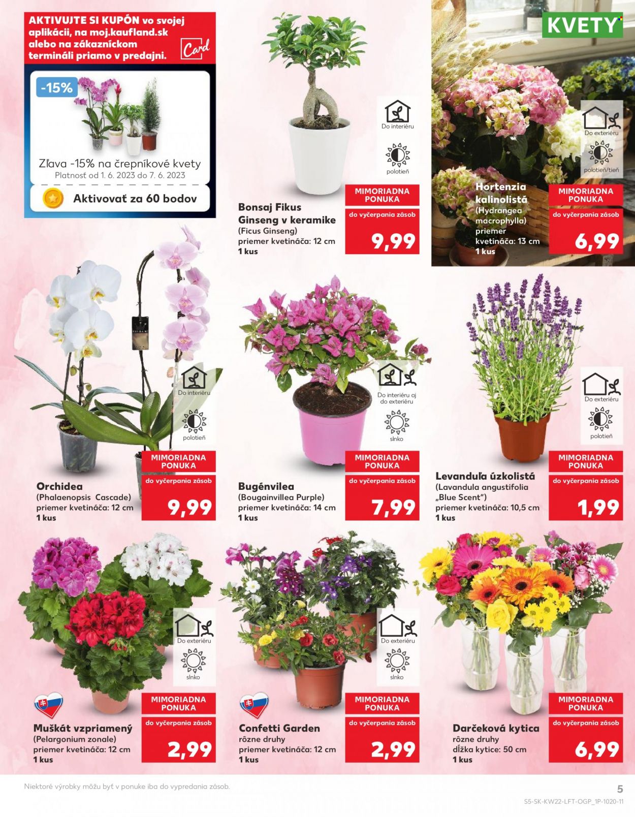 Leták Kaufland - 1.6.2023 - 7.6.2023. Strana 5