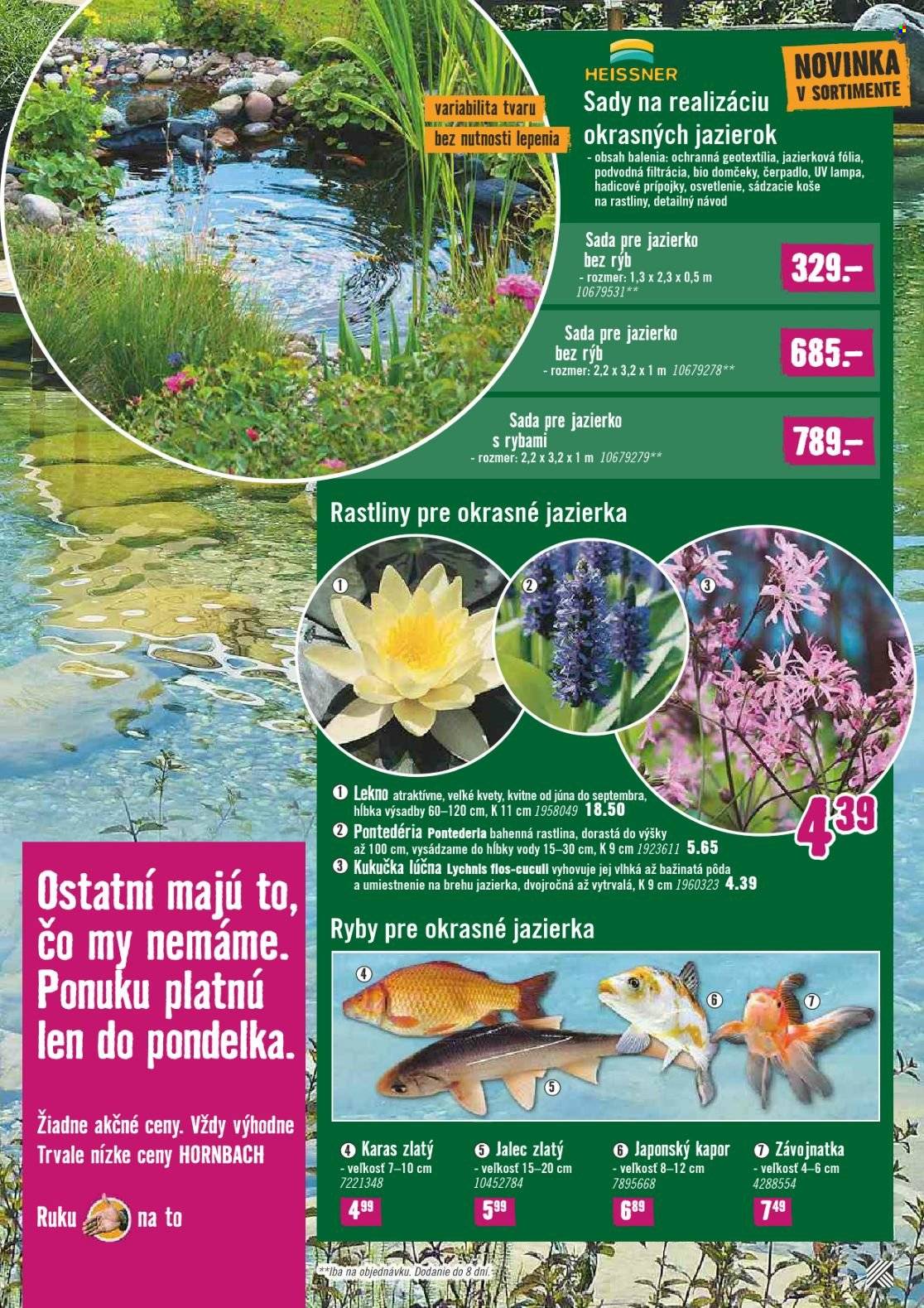 Leták Hornbach - 7.6.2023 - 20.6.2023. Strana 7