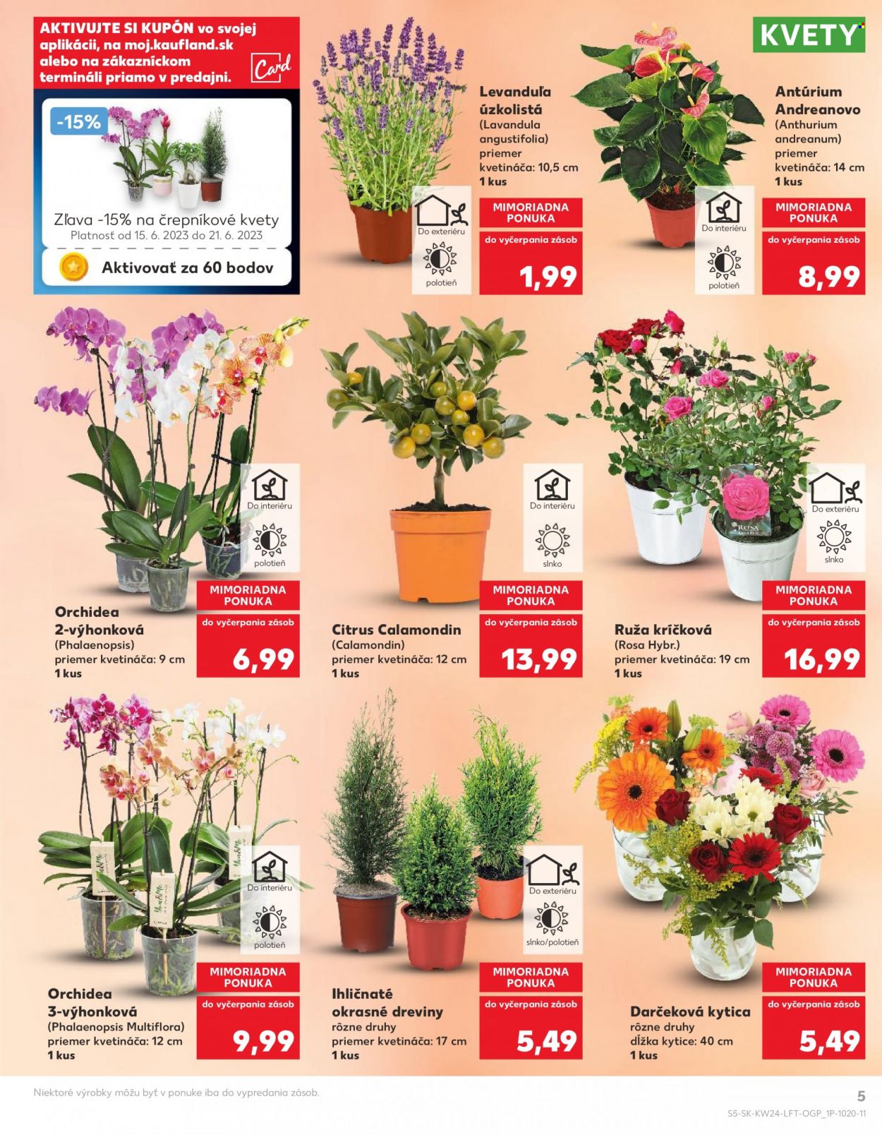 Leták Kaufland - 15.6.2023 - 21.6.2023. Strana 5