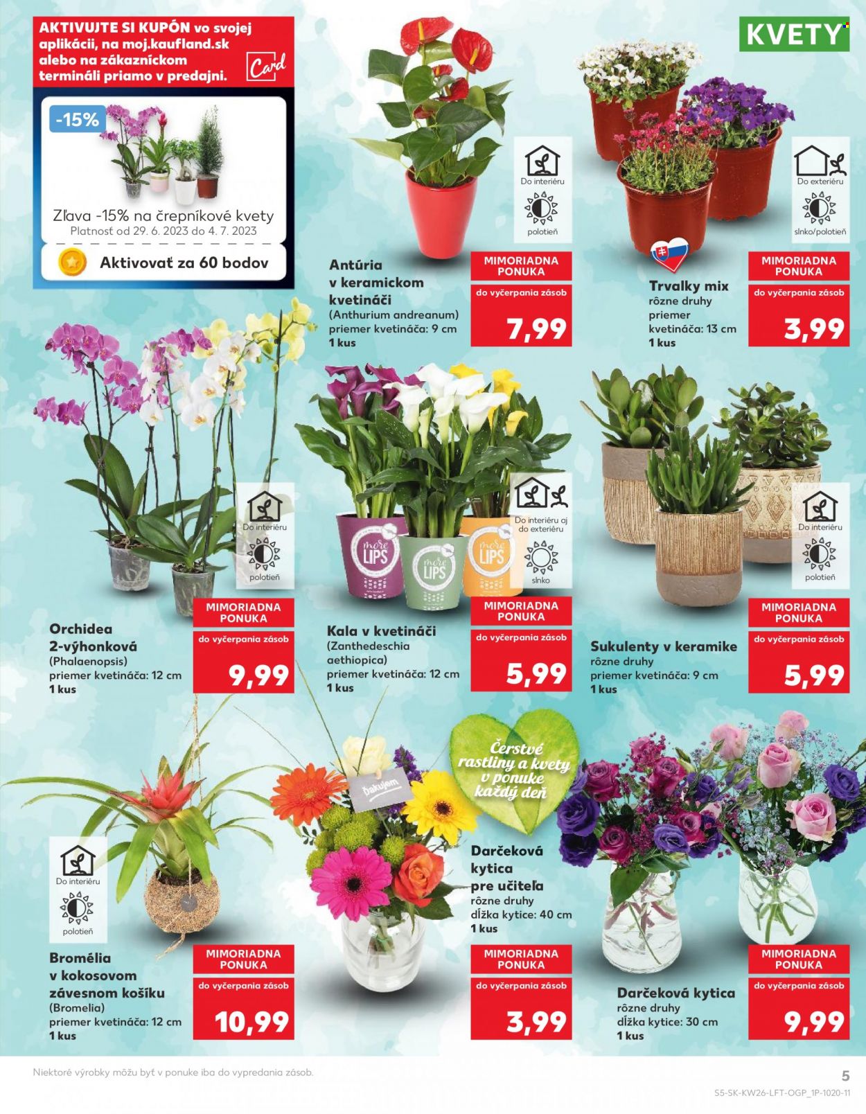 Leták Kaufland - 29.6.2023 - 4.7.2023. Strana 5