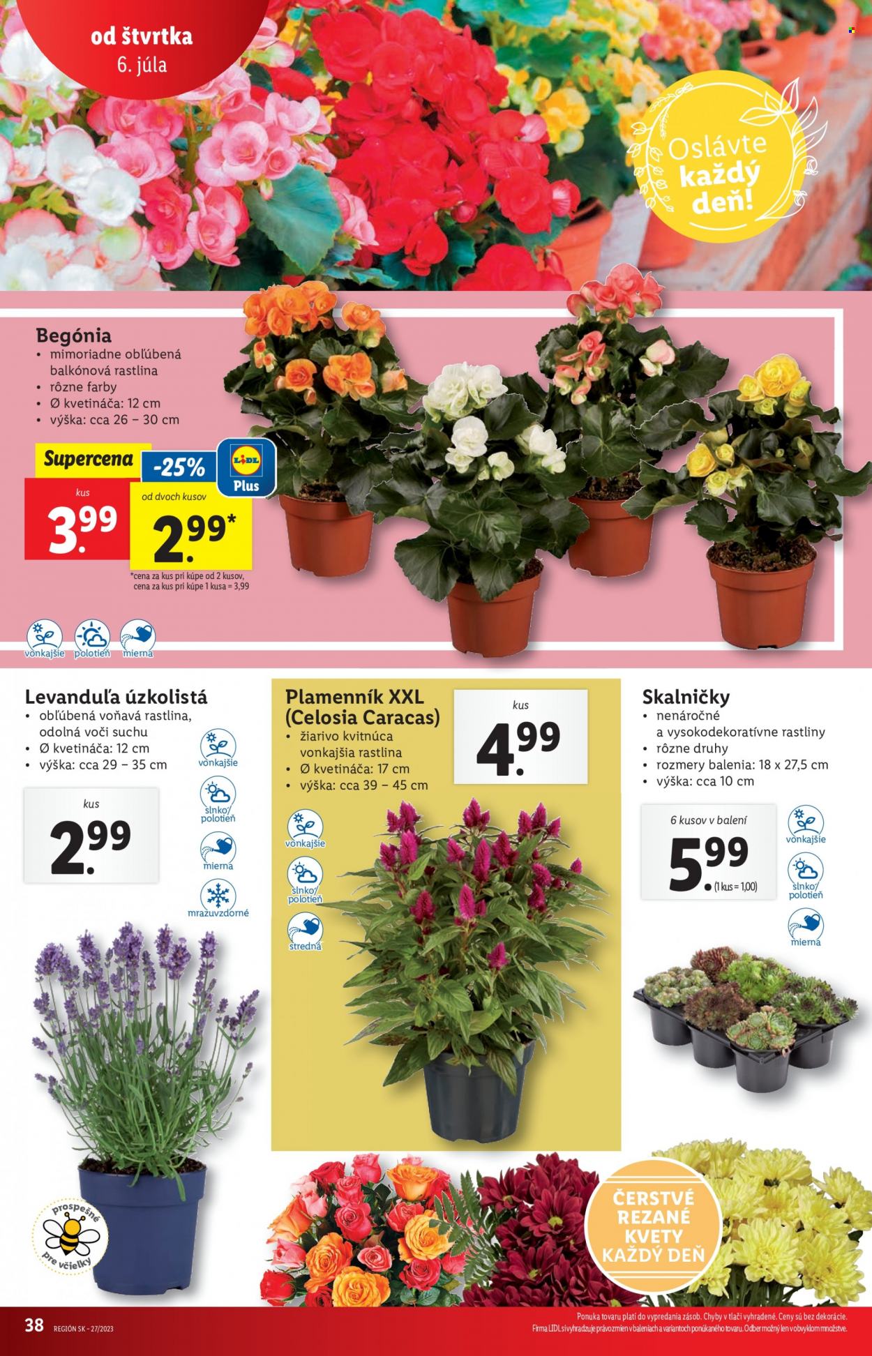 Leták Lidl - 6.7.2023 - 9.7.2023. Strana 38