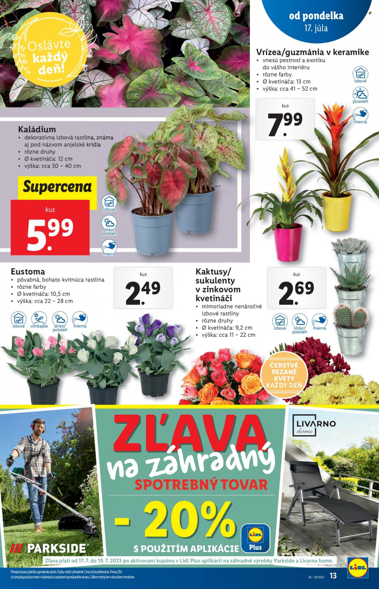 Leták Lidl - 17.7.2023 - 23.7.2023. Strana 13