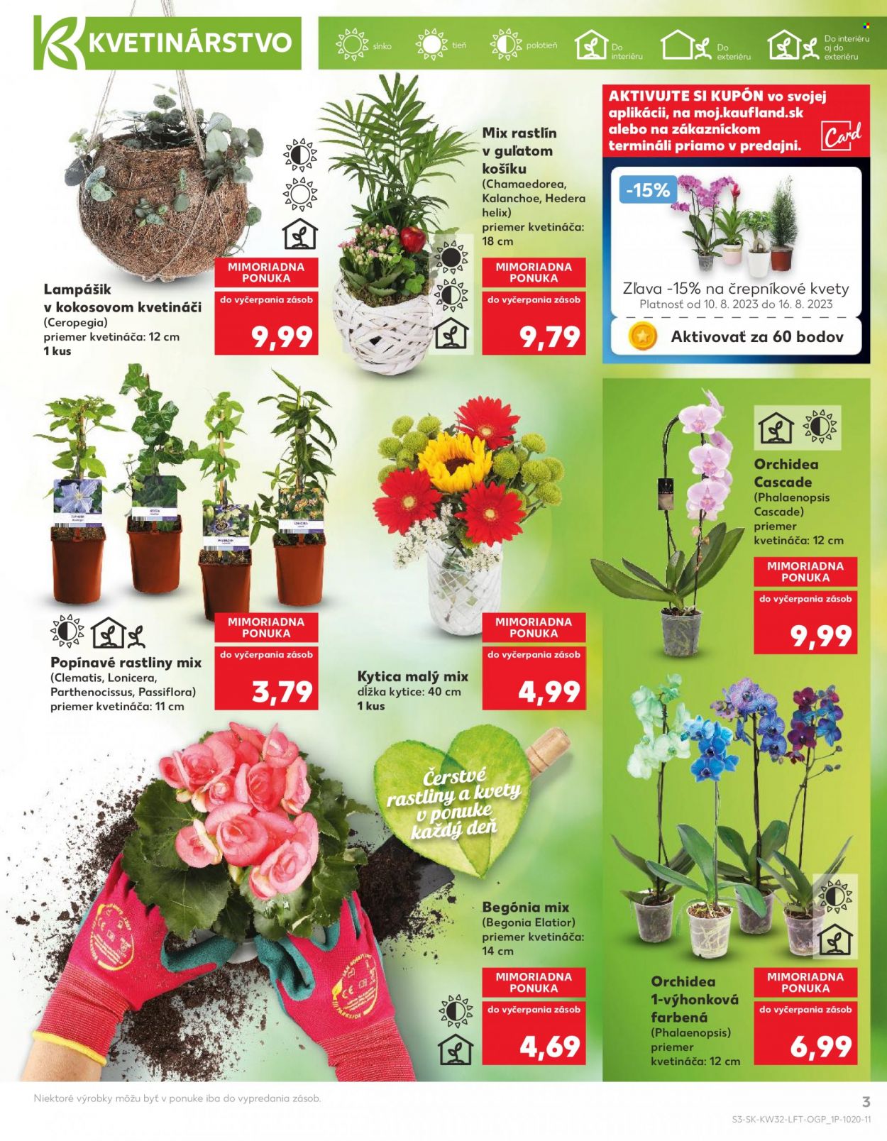 Leták Kaufland - 10.8.2023 - 16.8.2023. Strana 3