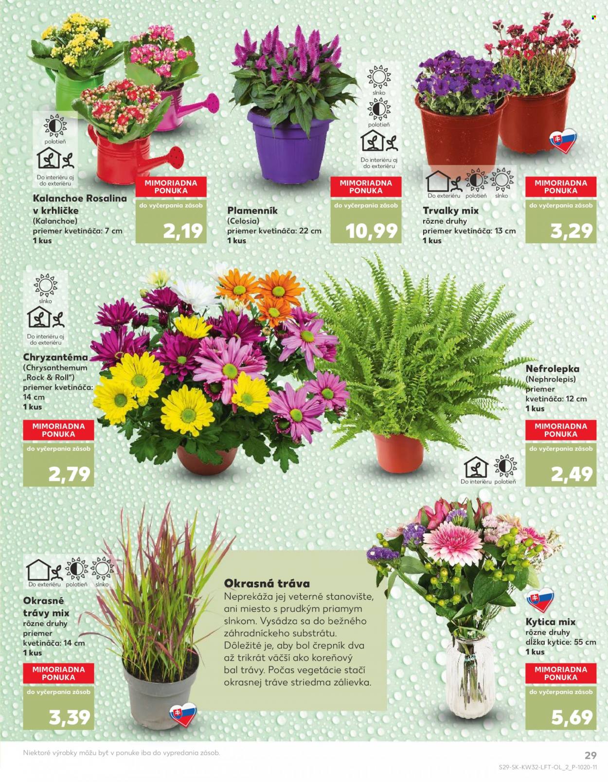 Leták Kaufland - 10.8.2023 - 16.8.2023. Strana 29