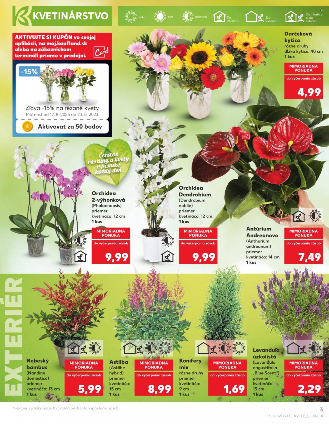 Leták Kaufland - 17.8.2023 - 23.8.2023. Strana 3