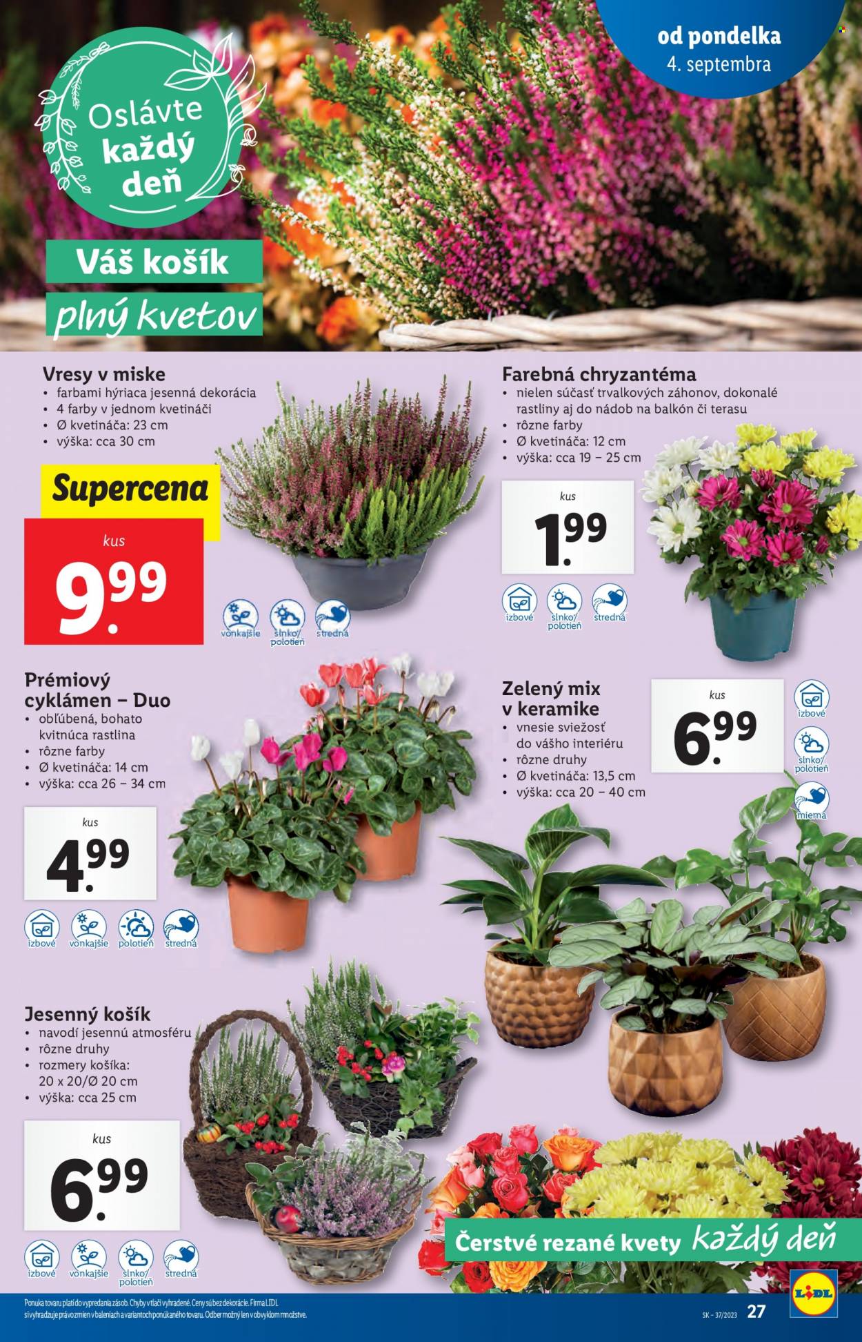 Leták Lidl - 4.9.2023 - 10.9.2023. Strana 54