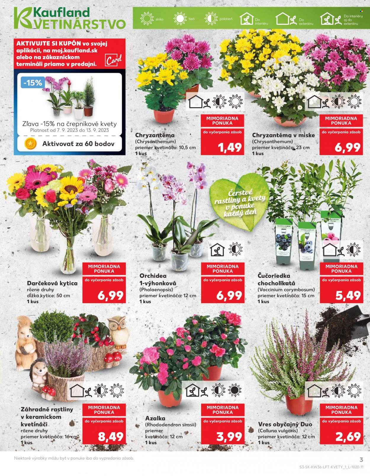 Leták Kaufland - 7.9.2023 - 13.9.2023. Strana 3