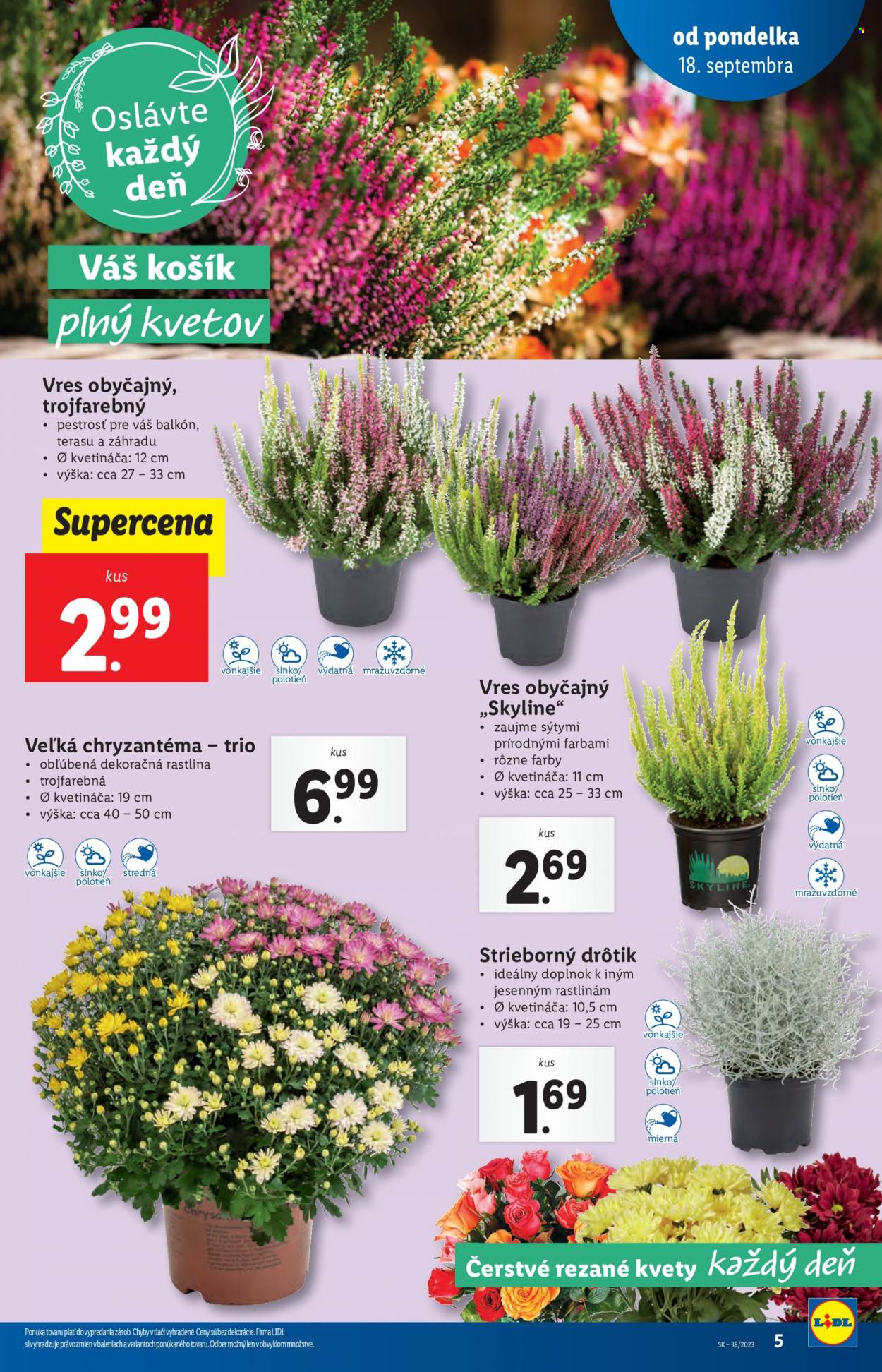 Leták Lidl - 18.9.2023 - 24.9.2023. Strana 5